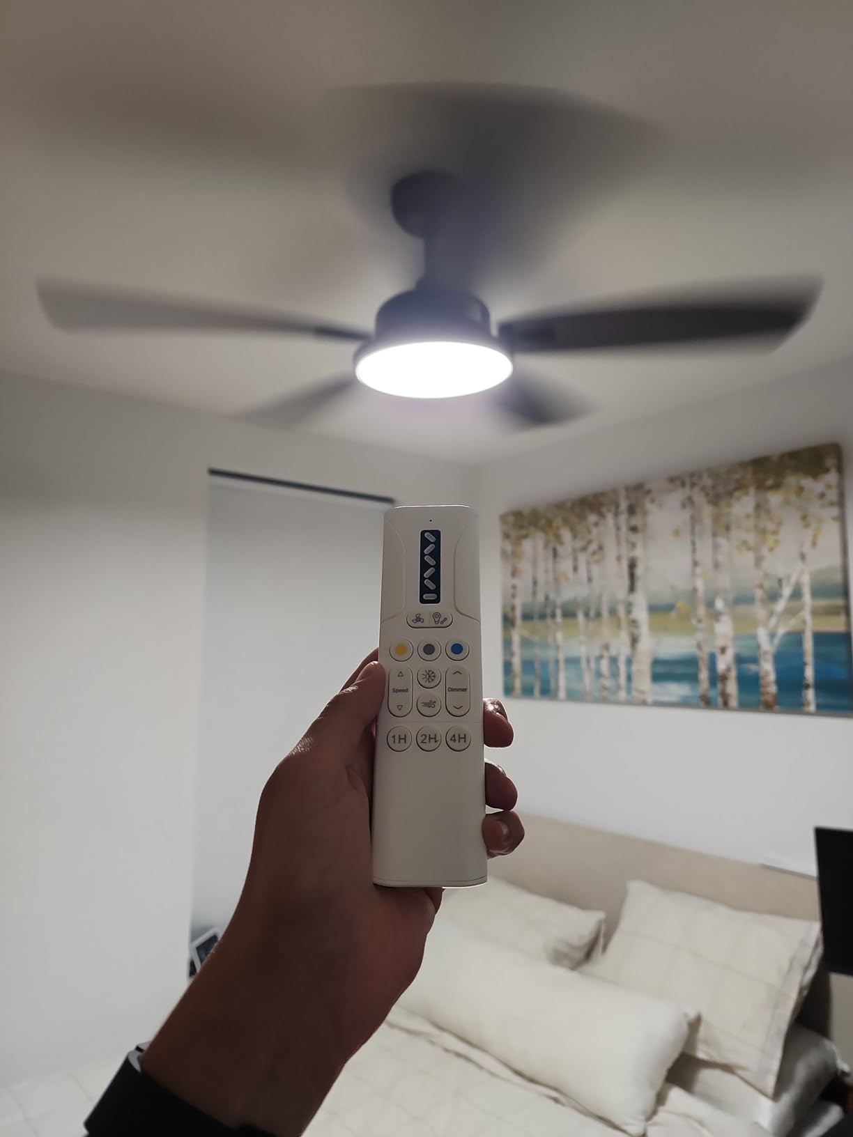 Roomratv 52 Inch Smart Ceiling Fan Compatible with App/Alexa/Google home customer photo 2
