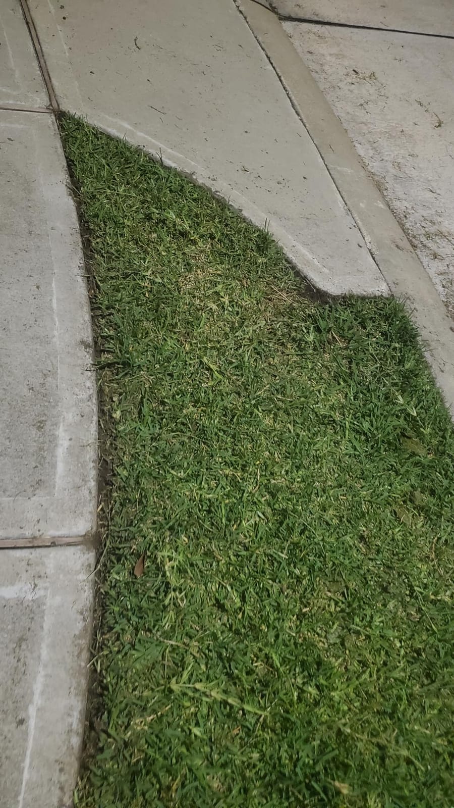 Amazon Basics 12 Amp Corded Electric Lawn Edger, 7.5