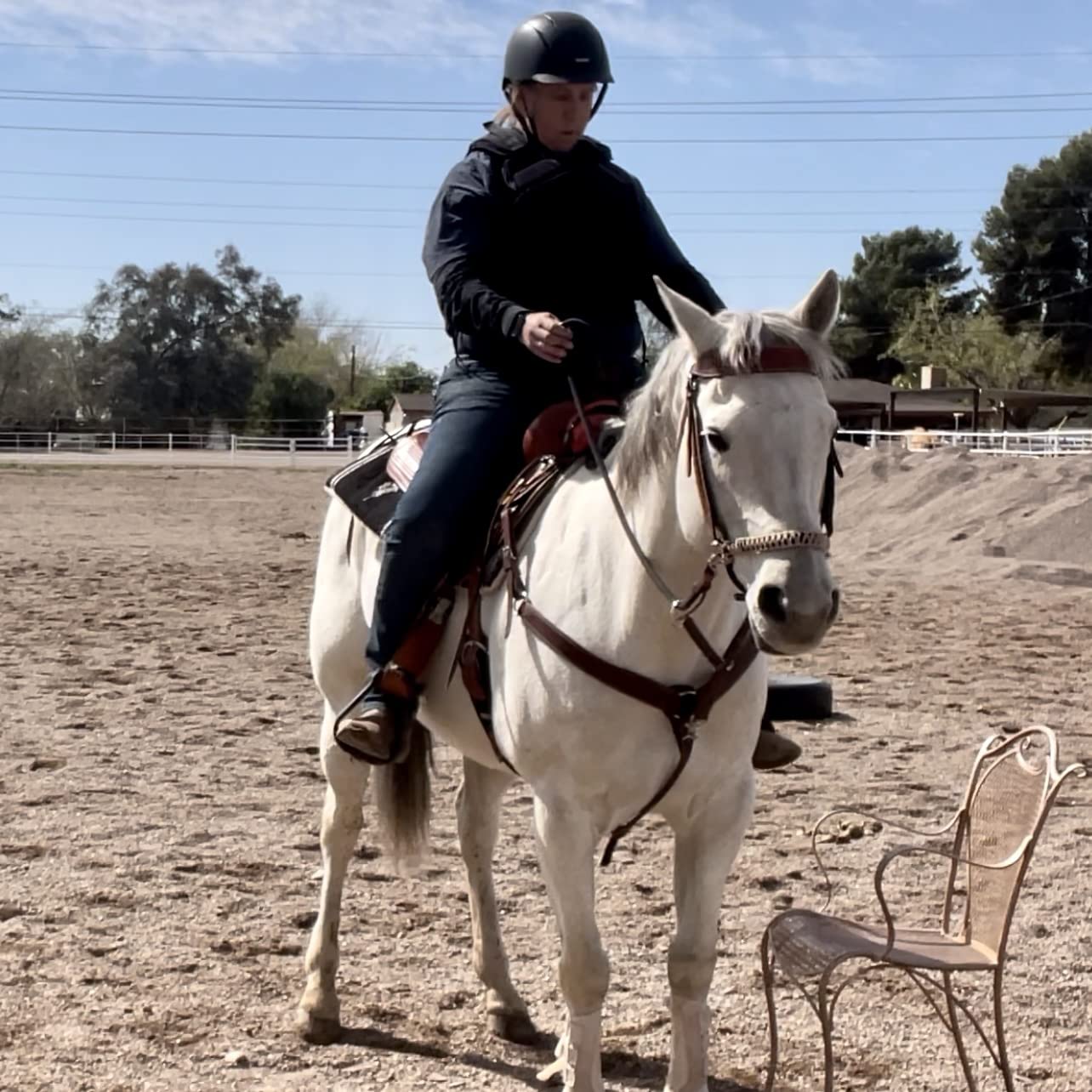 HILASON Black Equestrian Safety Protective Vest Impact Protection customer photo 1