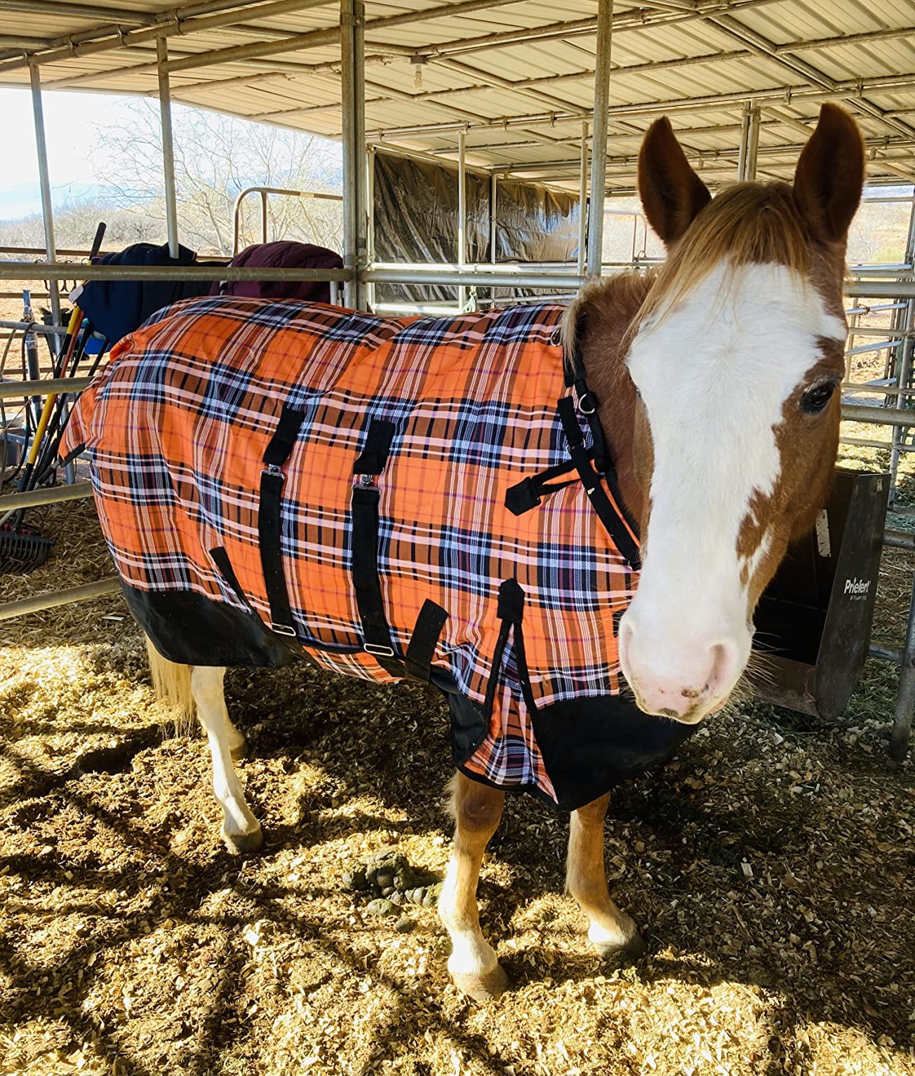 Challenger 1200D Horse Turnout Waterproof Heavy Weight Winter Blanket 5B105 customer photo 2