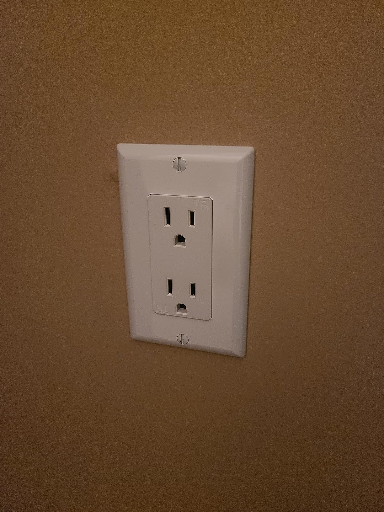 Elder Welder Electrical Outlet Hidden Wall Safe, 100% Real Plate Included customer photo 1