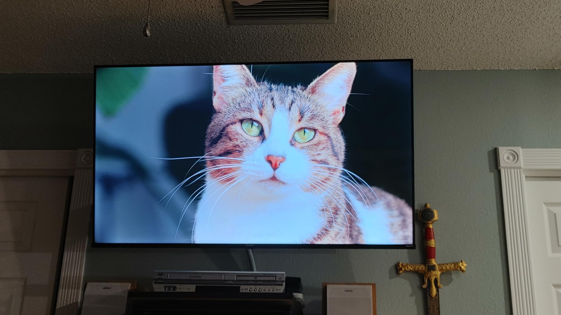 Hisense 43-Inch Class R6 Series 4K UHD Smart Roku TV with Alexa Compatibility, Dolby Vision HDR, DTS Studio Sound, Game Mode (43R6G) customer photo 2