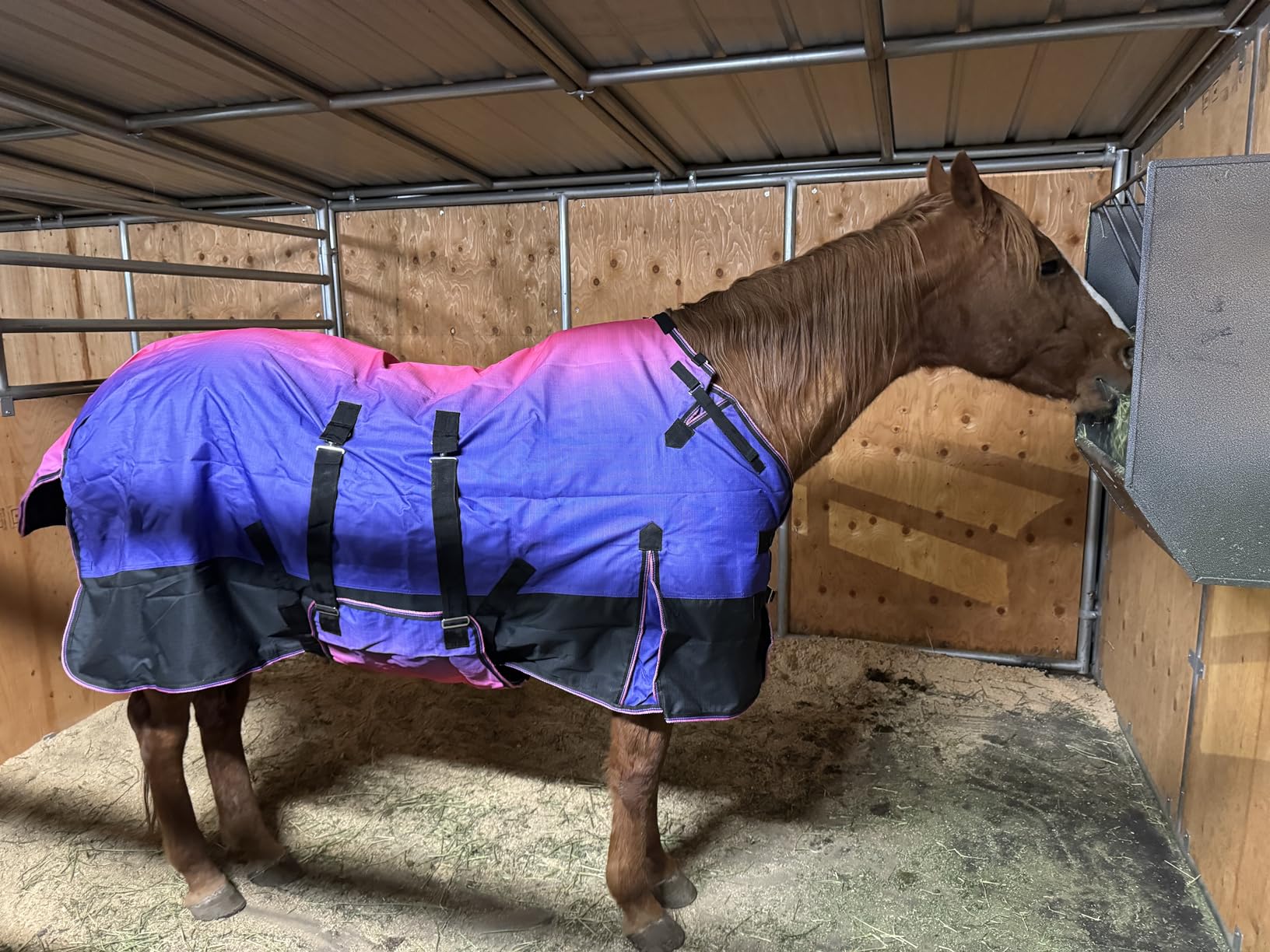 Challenger 1200D Turnout Waterproof Rain Horse Sheet Light Winter Blanket 394B customer photo 1