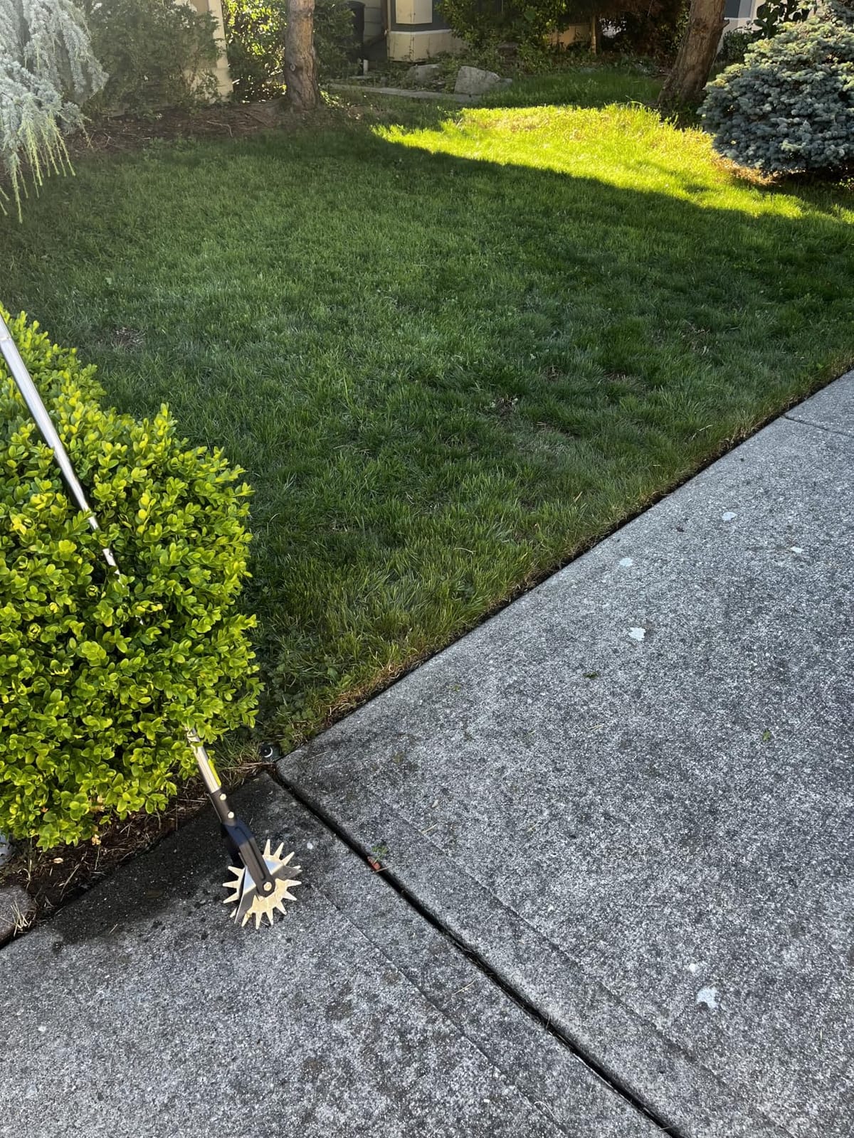 BARAYSTUS Wheel Rotary Edger Lawn Tool, Grass Edge Trimmer, Sidewalk Manual Lawn Edger, Strong 3 Sections Stainless Steel Handle with Cushion Grip, 58.3-Inch customer photo 1