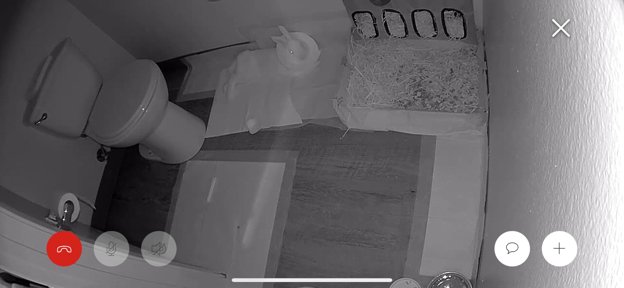 Ring Indoor Cam, Home or business security in 1080p HD video, White customer photo 2