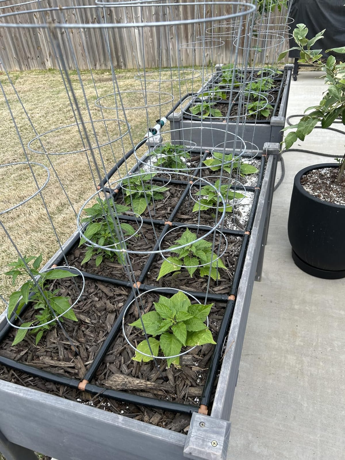 Garden Grid 3x6 | Raised Garden Irrigation System | Prebuilt, No Dry Spots customer photo 2