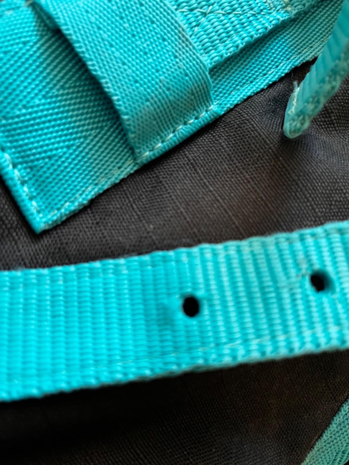 Winter Horse Blanket 300GSM 600 Denier (Waterproof/Breathable/Snow Proof) Turnout Blanket | Heavy Winter Blanket (78, Black with Turquoise Trims) customer photo 1