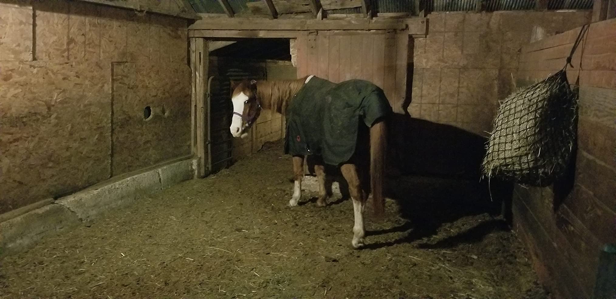 Winter Horse Blanket 300GSM 600 Denier (Waterproof/Breathable/Snow Proof) Turnout Blanket | Heavy Winter Blanket (78, Black with Turquoise Trims) customer photo 2