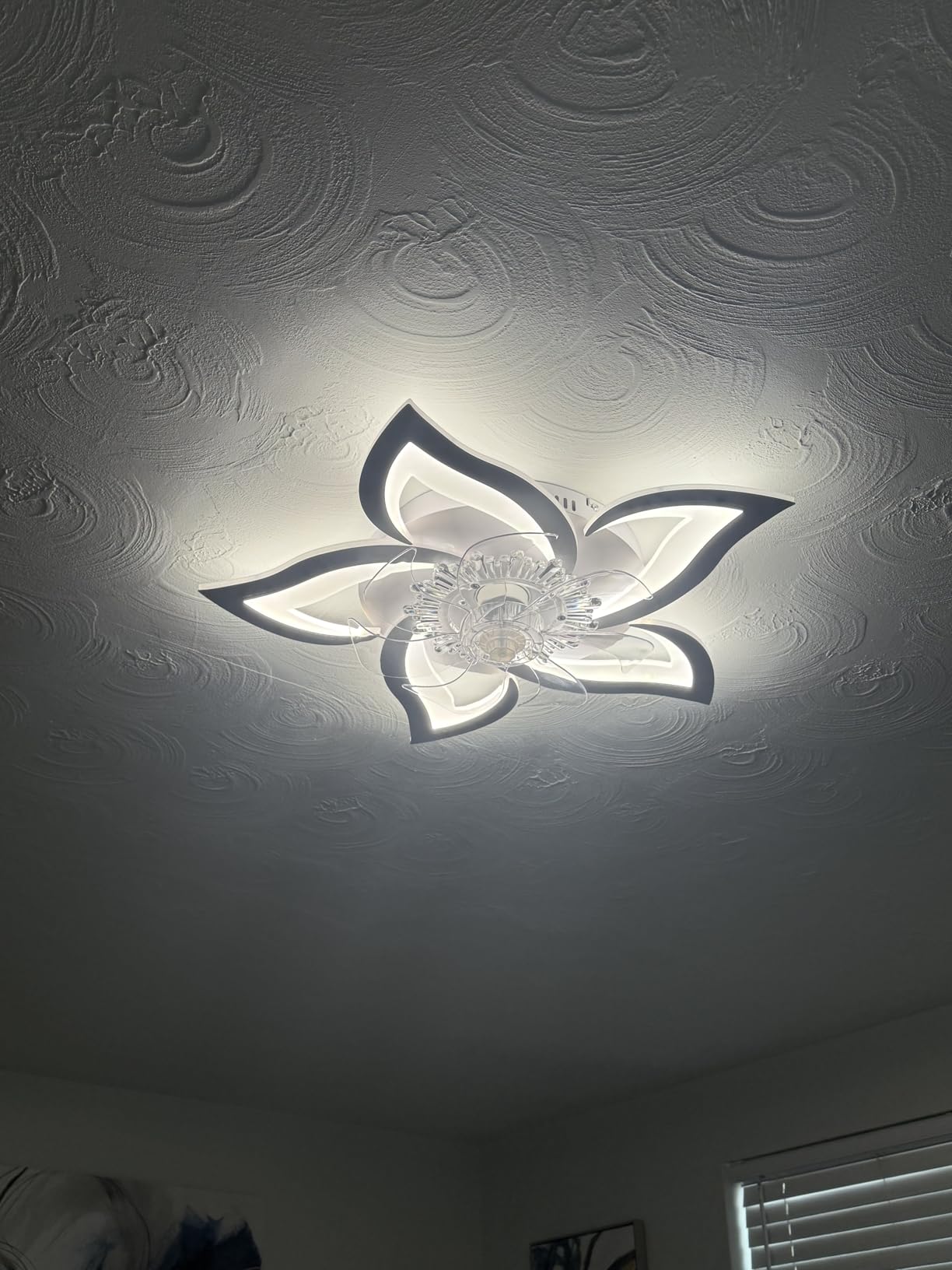Bevenus Low Profile Ceiling Fan with Lights,110v Modern Dimmable Flower Shape, Remote Control/app Control,Timing 6 Gear Speeds Fan Ceiling Lamp. customer photo 1