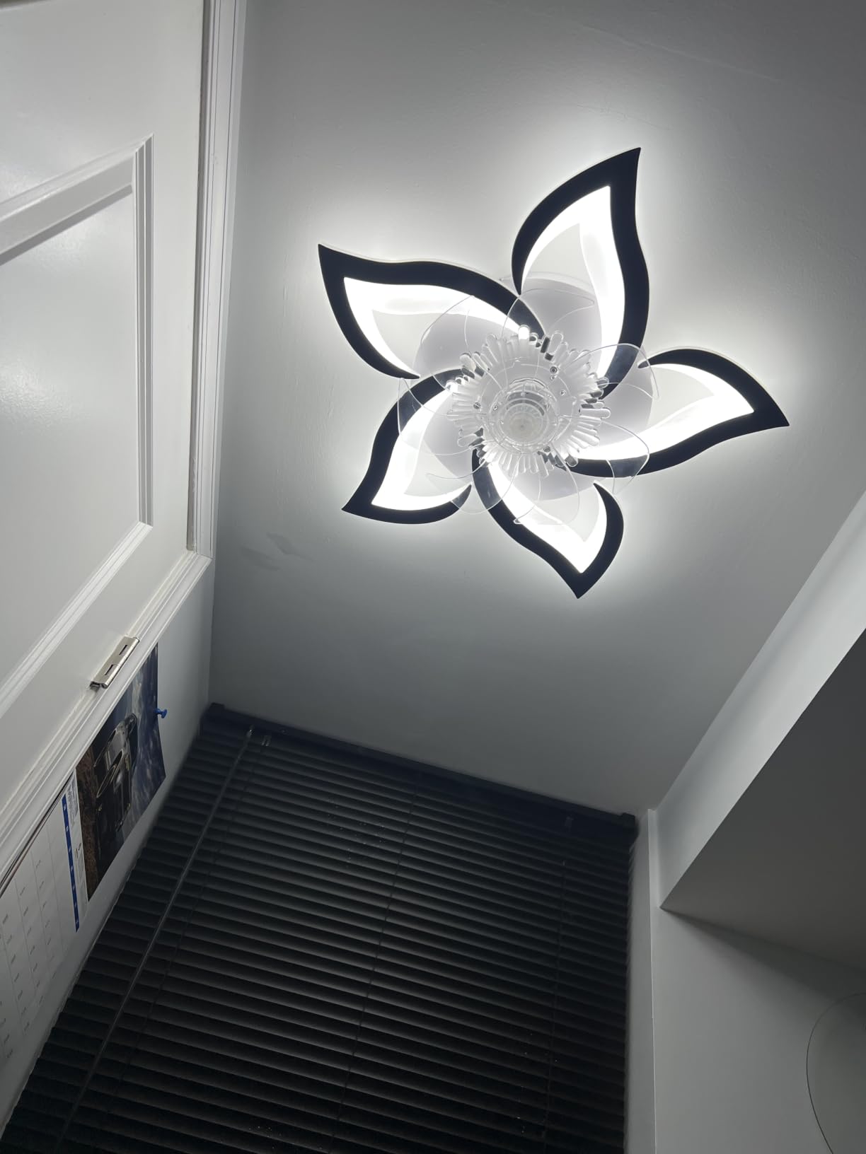 Bevenus Low Profile Ceiling Fan with Lights,110v Modern Dimmable Flower Shape, Remote Control/app Control,Timing 6 Gear Speeds Fan Ceiling Lamp. customer photo 2