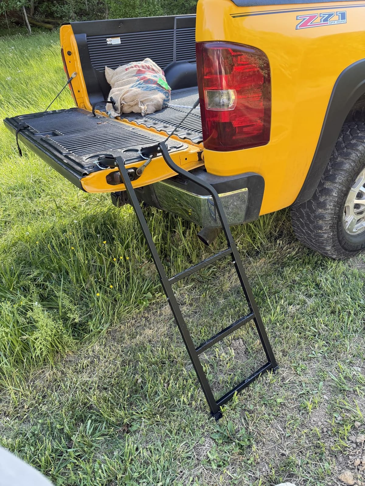 Nilight Foldable Truck Tailgate Ladder for Pickup with Step Grip Plates customer photo 1