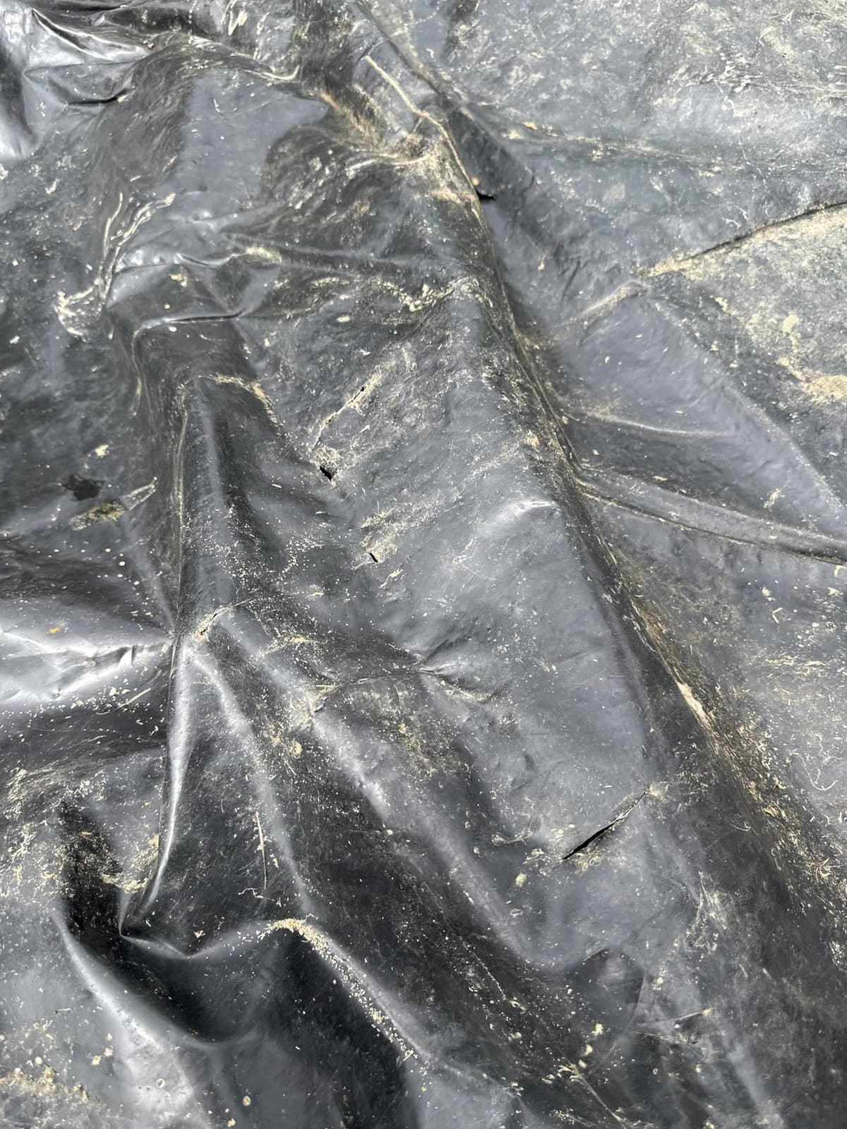 VIVOSUN 13.5 x 20 Feet Pond Liner for Koi Ponds, Aquaculture and Gardens customer photo 2