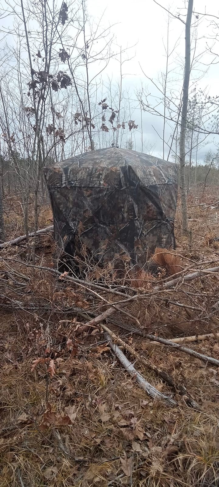 THUNDERBAY SPUR Collector 3 Person Hunting Blind, Portable Ground Blind with Silent Windows, Portable Durable Hunting Tent for Deer & Turkey Hunting customer photo 1