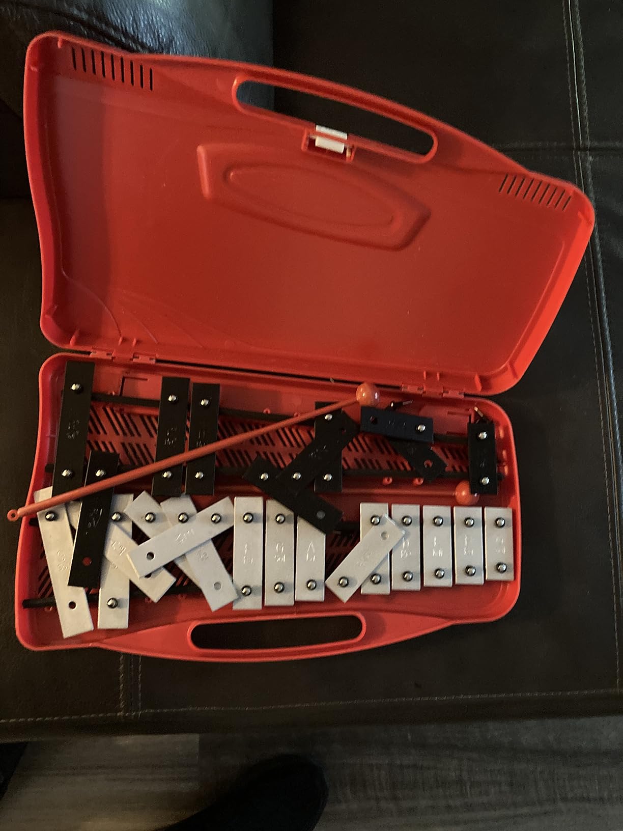 EASTROCK 25 Notes Xylophone Professional Glockenspiel with Box Stick Black | Aluminum Alloy Piano Keys ABS Hard Storage Box Percussion Instrument Kit Suitable for Adult Beginners Music Performance customer photo 1