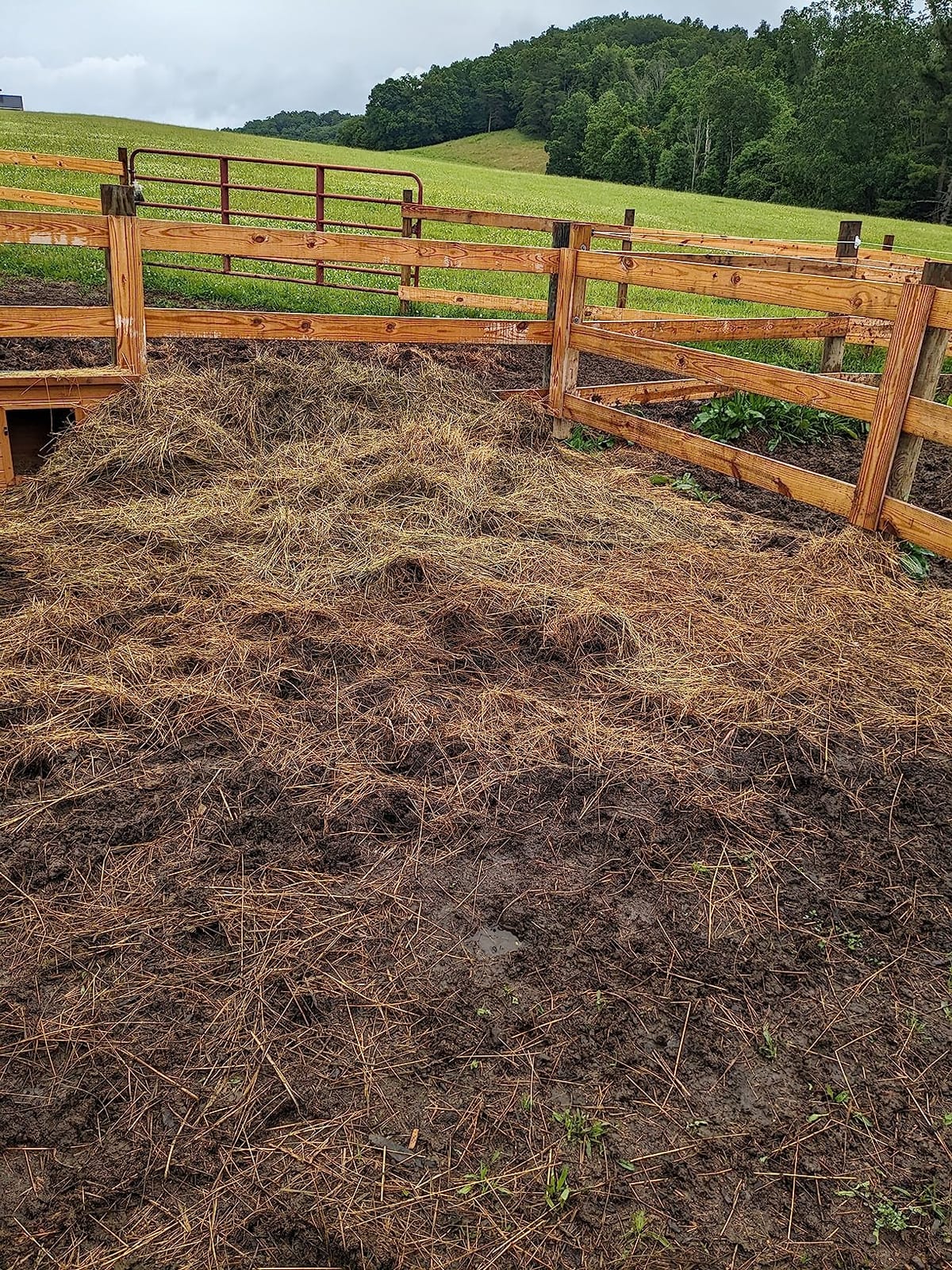 Bloomoak Large Round Bale Hay Net for Horses, 5 * 5 Feet Knotless Design Slow Feed Hay Net Feeder for Livestocks, with 1.5