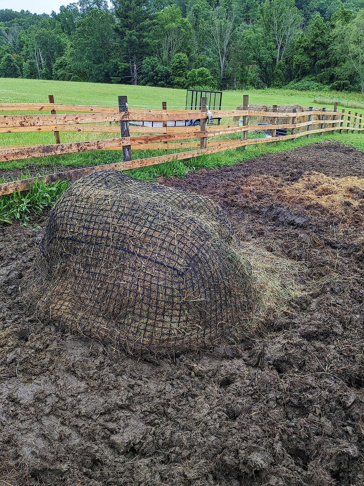 Bloomoak Large Round Bale Hay Net for Horses, 5 * 5 Feet Knotless Design Slow Feed Hay Net Feeder for Livestocks, with 1.5