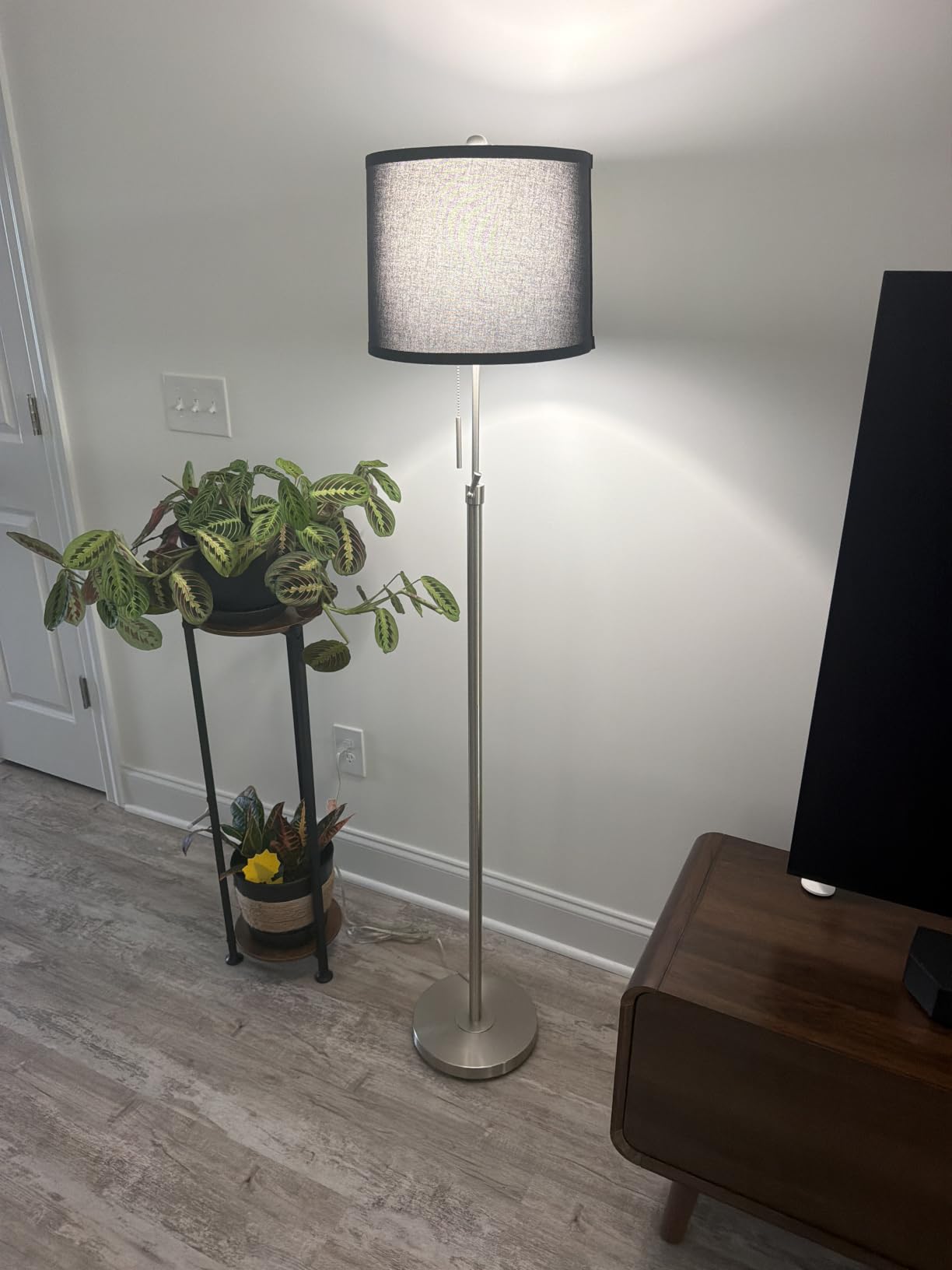 Qingmiao Brushed Nickel Floor Lamps for Living Room, 55