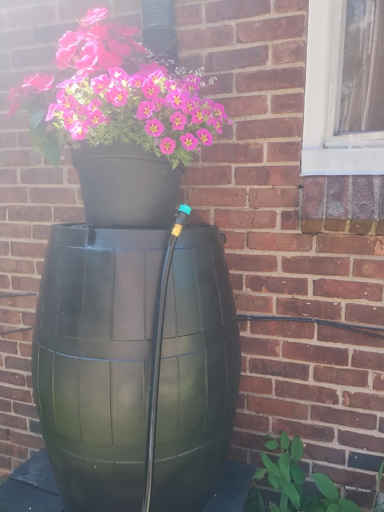 FCMP Outdoor Raincatcher, Flat-Back Rain Barrel with Spigots, 50 Gallon, Green customer photo 2