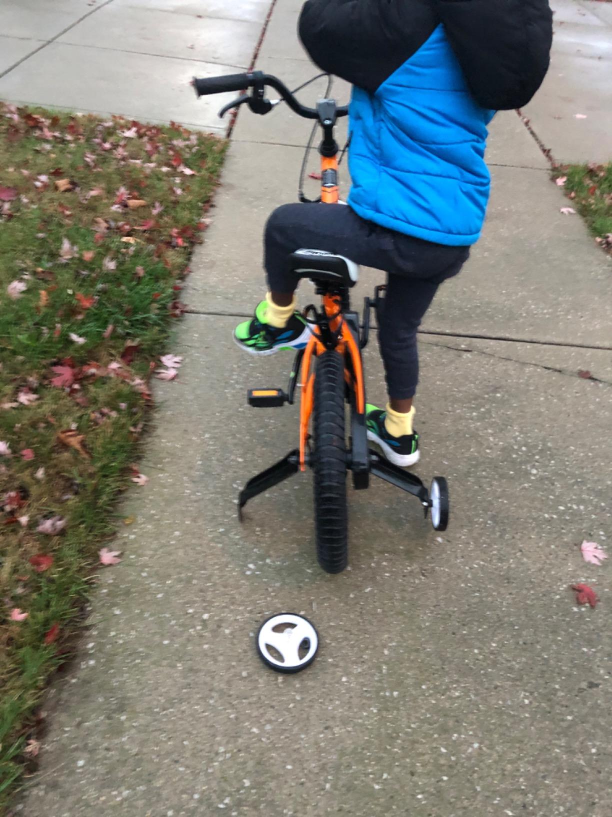 RoyalBaby EZ Kids Bike, 12-20 Inch Balance & Pedal, Safer for Beginners | Balance to Pedal, 2-in-1, Tool-Free Conversion, Beginners Learning Bicycle customer photo 1
