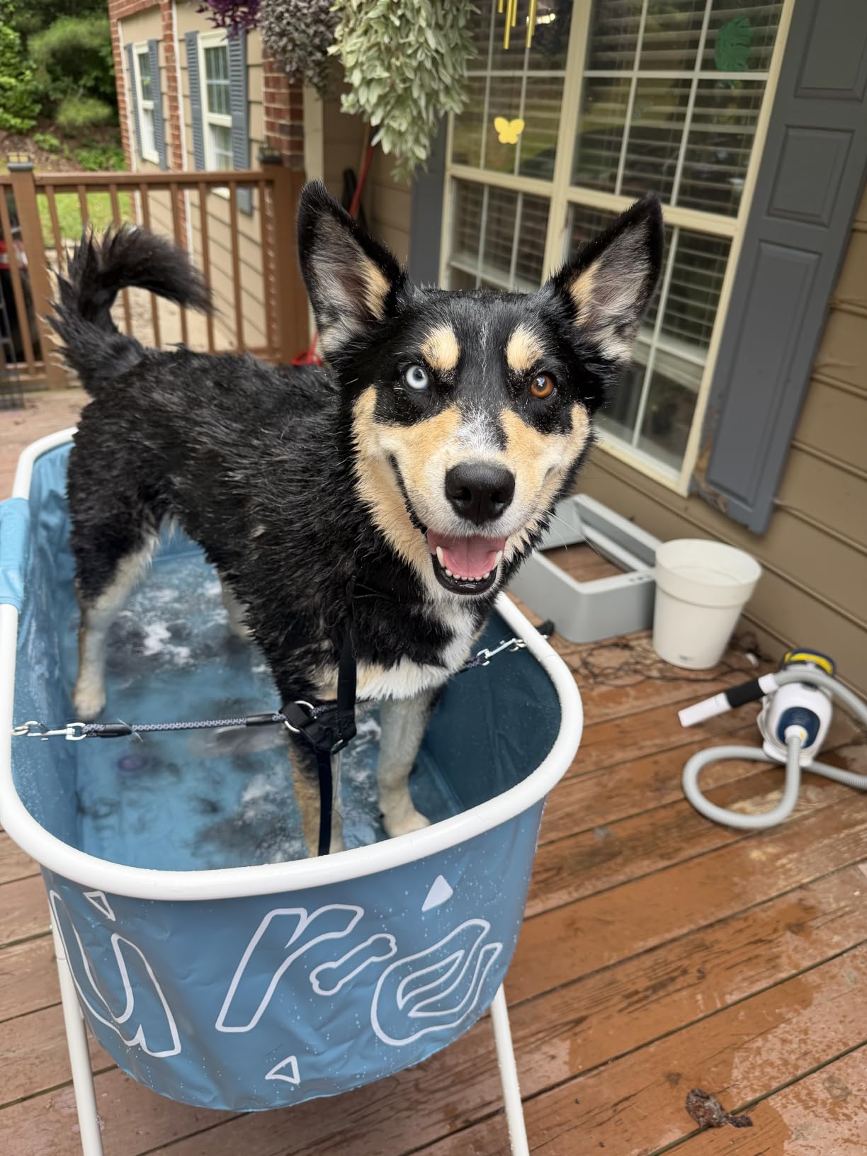 Furesh Foldable Dog Washing Station for Large Dogs with Stairs | Reinforced aluminum frame with foldable stairs for safe, elevated bathing and compact storage. customer photo 2