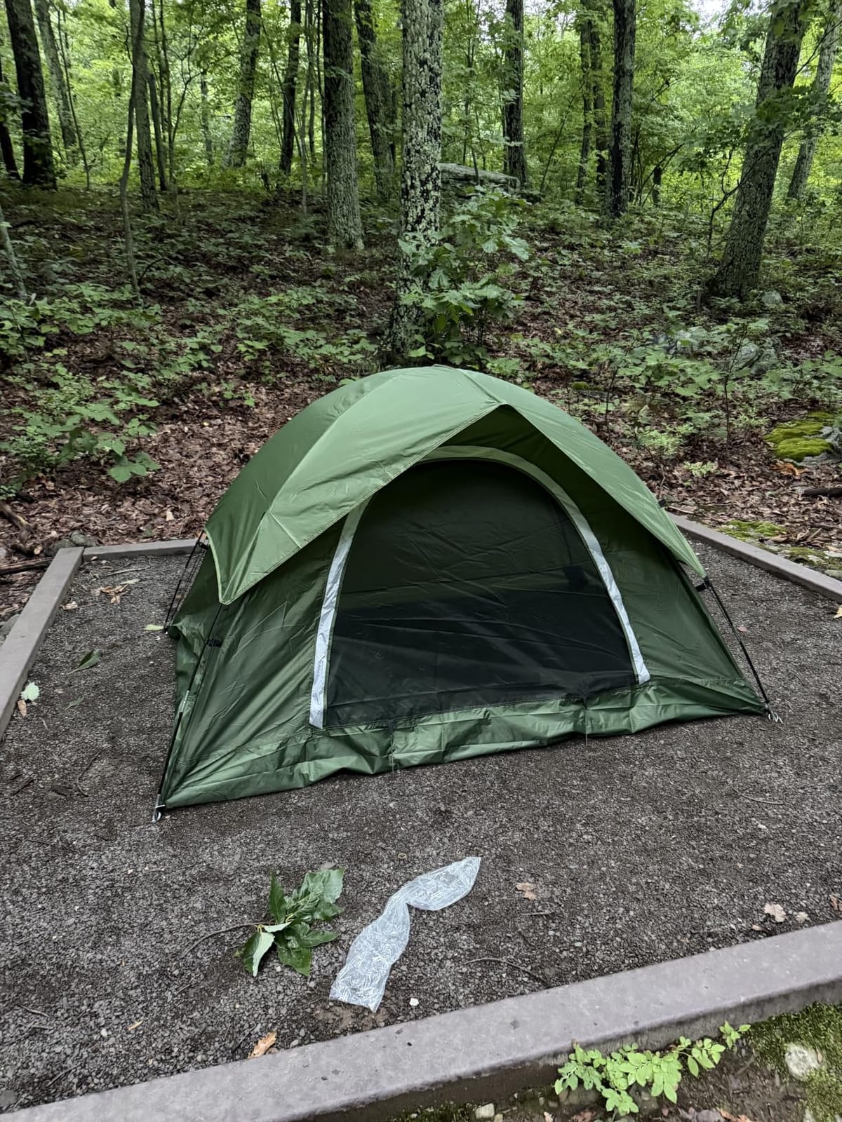Clostnature Waterproof Camping Tent for 2 Person, 4 Person, Easy Setup Tent customer photo 1