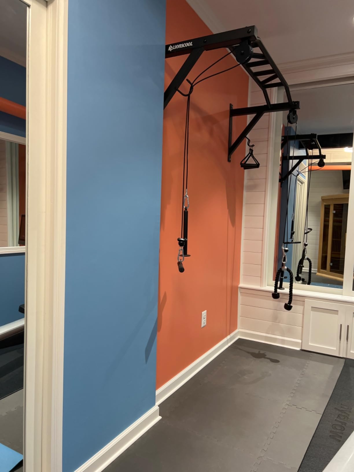 LIONSCOOL Multifunctional Wall Mounted Pull Up Bar with Pulley System, 48