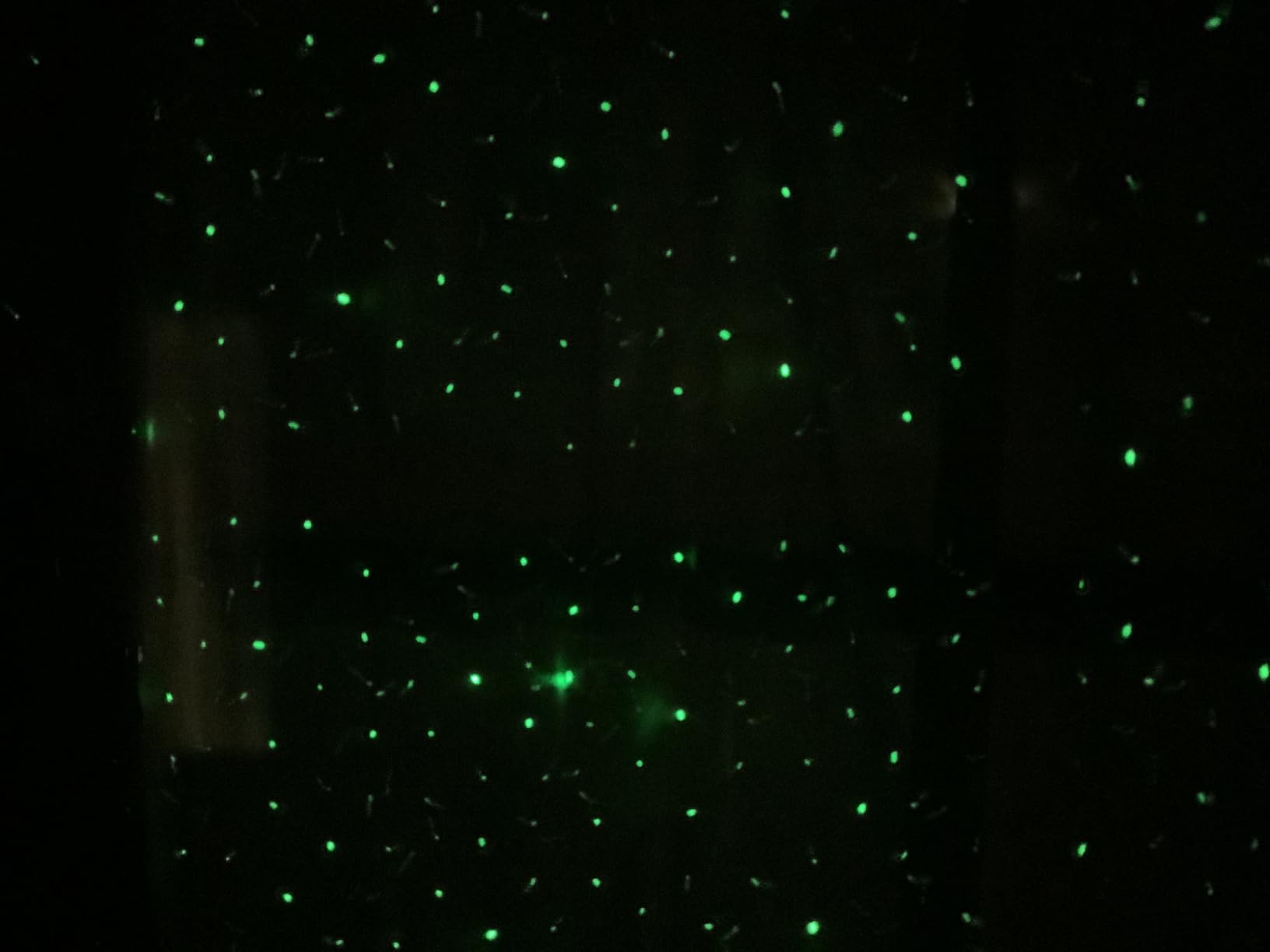 Laser Christmas Projector Lights Outdoor, Firefly Light Show for Trees | 3 Colors,RF Remote, Waterproof, Indoor Holiday Halloween Decoration, Christmas Gift, Wedding, Home Decor, Party, Garden customer photo 1