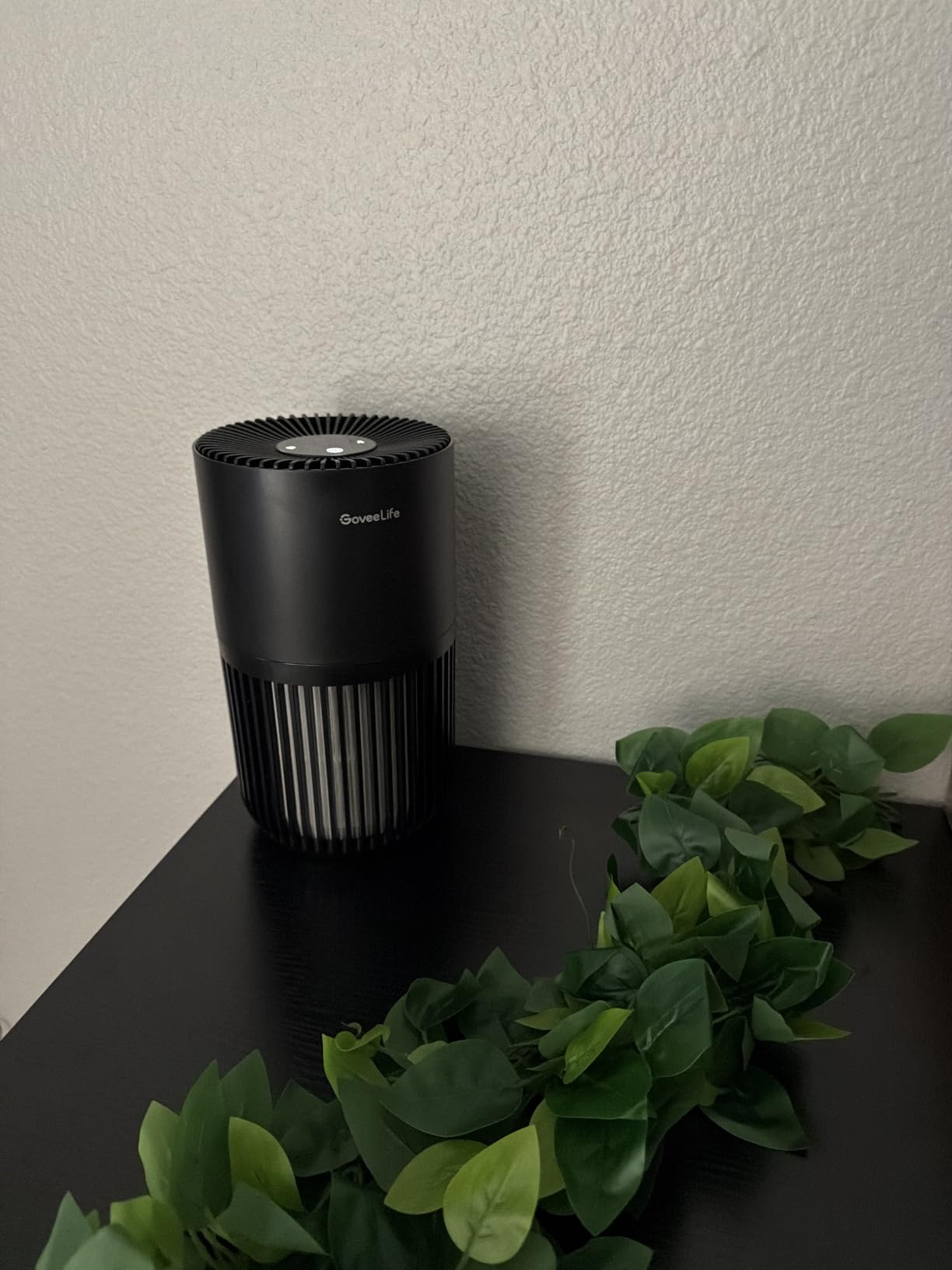 GoveeLife Smart Mini Air Purifier for Bedroom, with App & Alexa Control | HEPA Filter, Portable Air Cleaner with 3 Speeds, 2 Modes, Aroma for Pet Hair, Odors, Pollen, Home, White customer photo 2