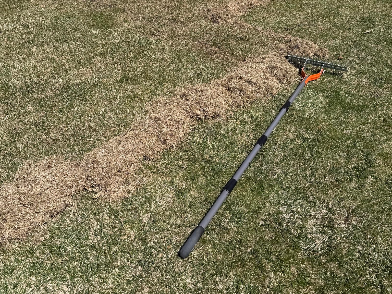Walensee 15-Inch Thatch Rake for Lawn, 19-Tine Dethatcher, 70-Inch Handle | Manual lawn dethatcher with a dual-sided 19-tine head; 40, 55 and 70 in. handle lengths lift thatch and dead grass customer photo 1