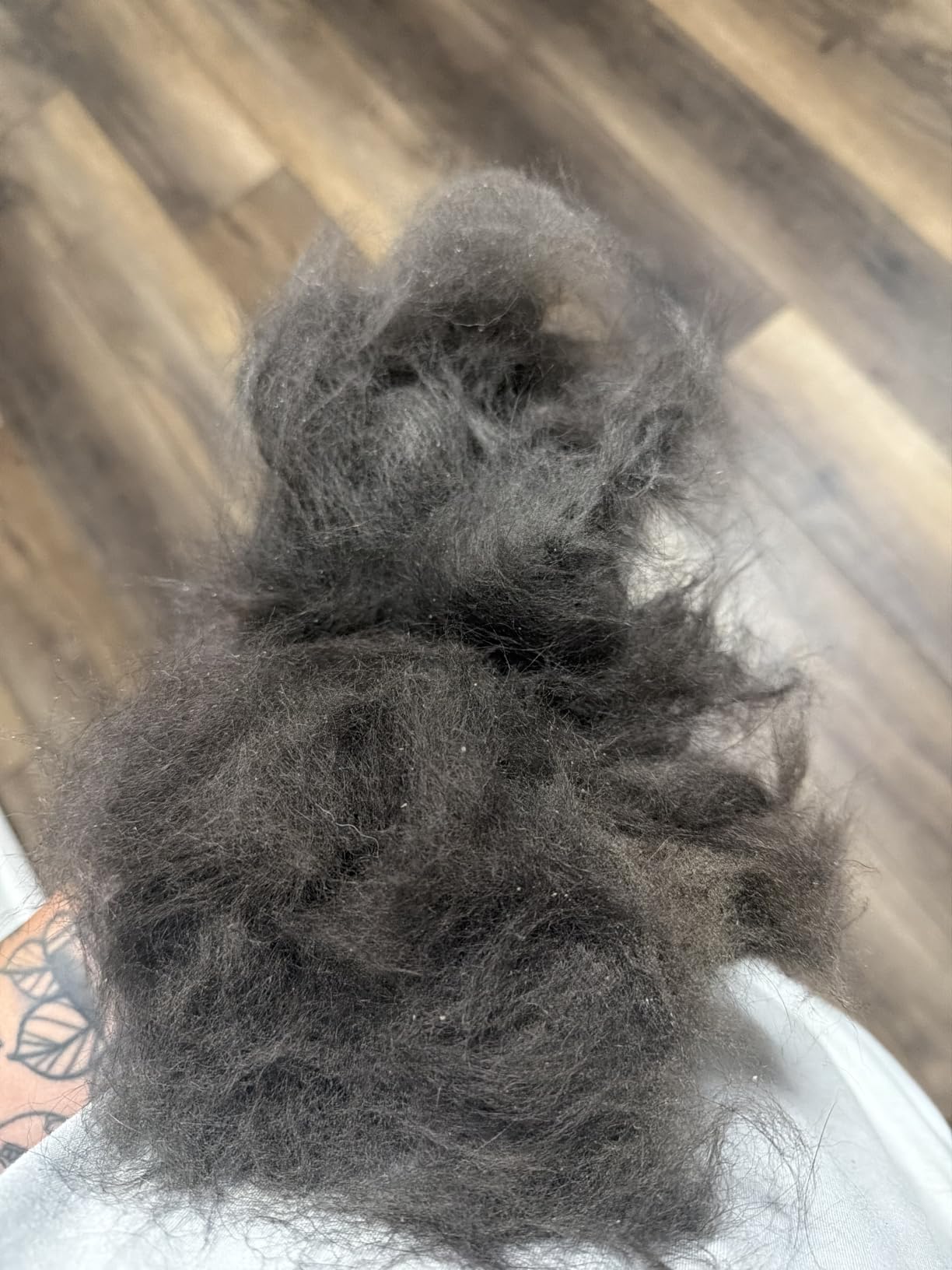 oneisall Dog Hair Vacuum Shedding Grooming Brush Kits for Pet Thick Coats | 15000Pa, 3 Suction Low Noise, 1.5L Dust Cup, 5 in 1 Kits (Grooming/Deshedding/Cleaning Brush, Remover Roller, Crevice Tool), LM5 customer photo 1