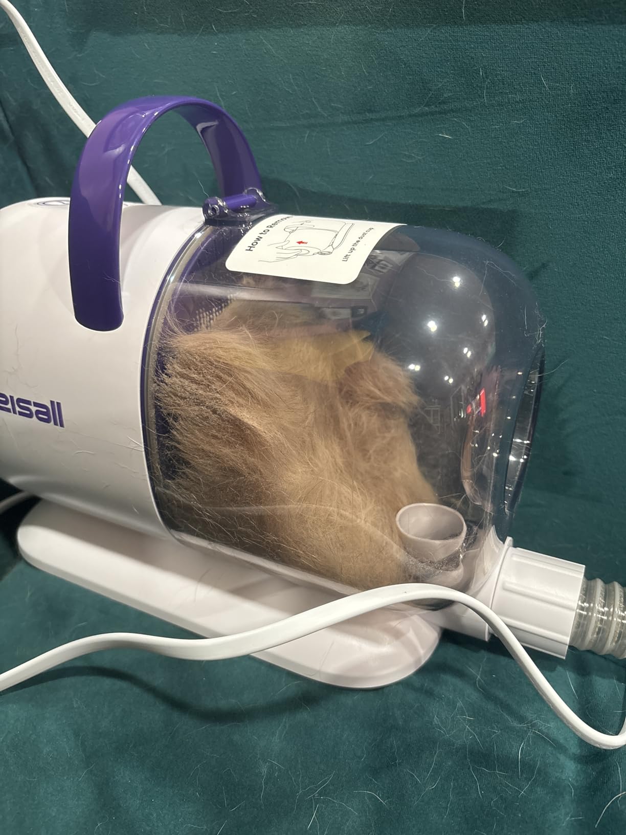 oneisall Dog Hair Vacuum Shedding Grooming Brush Kits for Pet Thick Coats | 15000Pa, 3 Suction Low Noise, 1.5L Dust Cup, 5 in 1 Kits (Grooming/Deshedding/Cleaning Brush, Remover Roller, Crevice Tool), LM5 customer photo 2