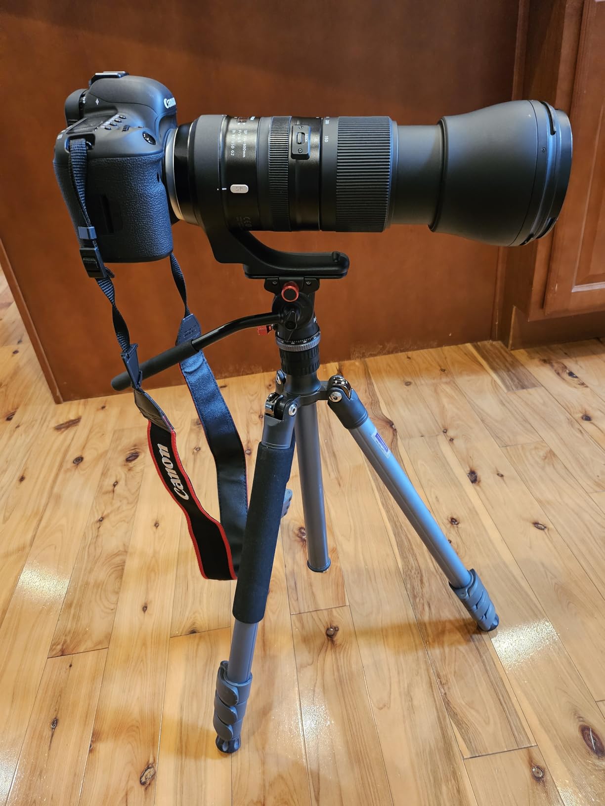 Avella Tripod Fluid Head Pan Tilt Head with Arca Type Quick Release Plate and Handle, Metal Panorama Head with Scaled Base for Compact Video Camera DSLR Camera, Load up to 6.6lb, V502 customer photo 1