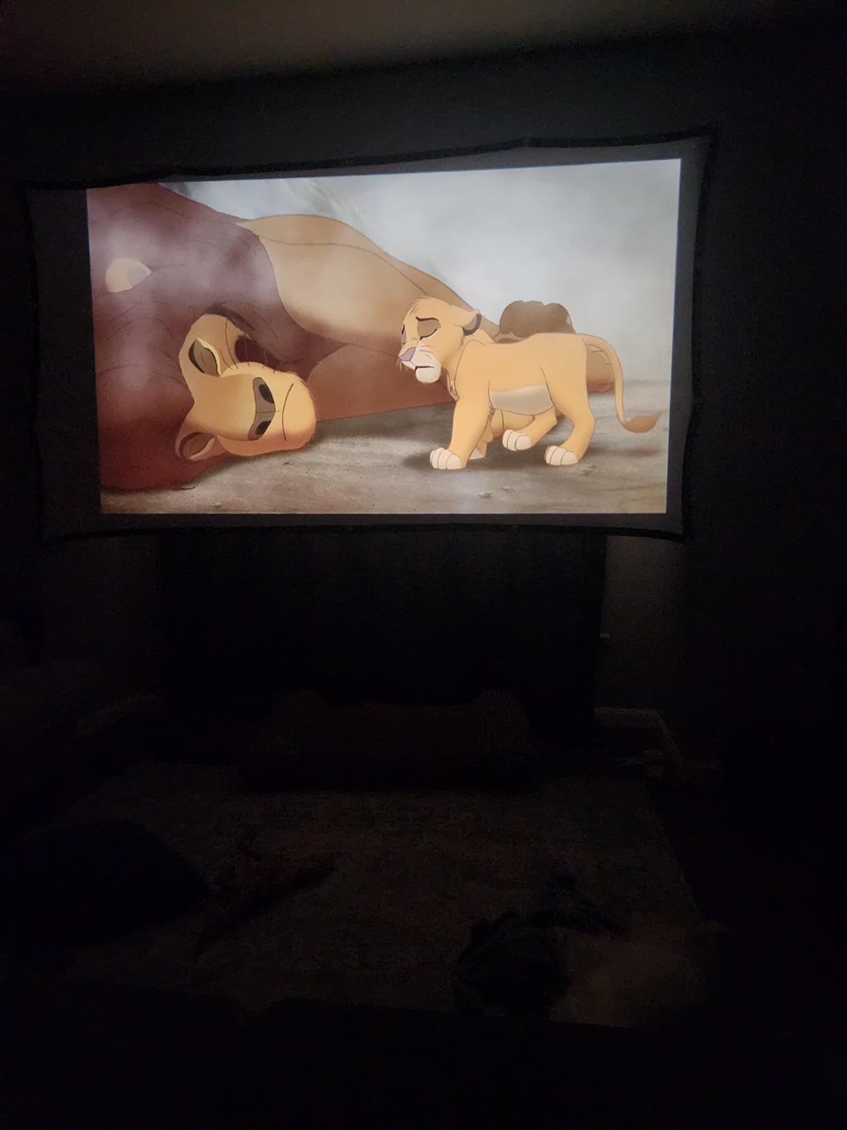 Projector Screen 100-Inch 16:9 Double-Sided Foldable, Frocopo customer photo 1