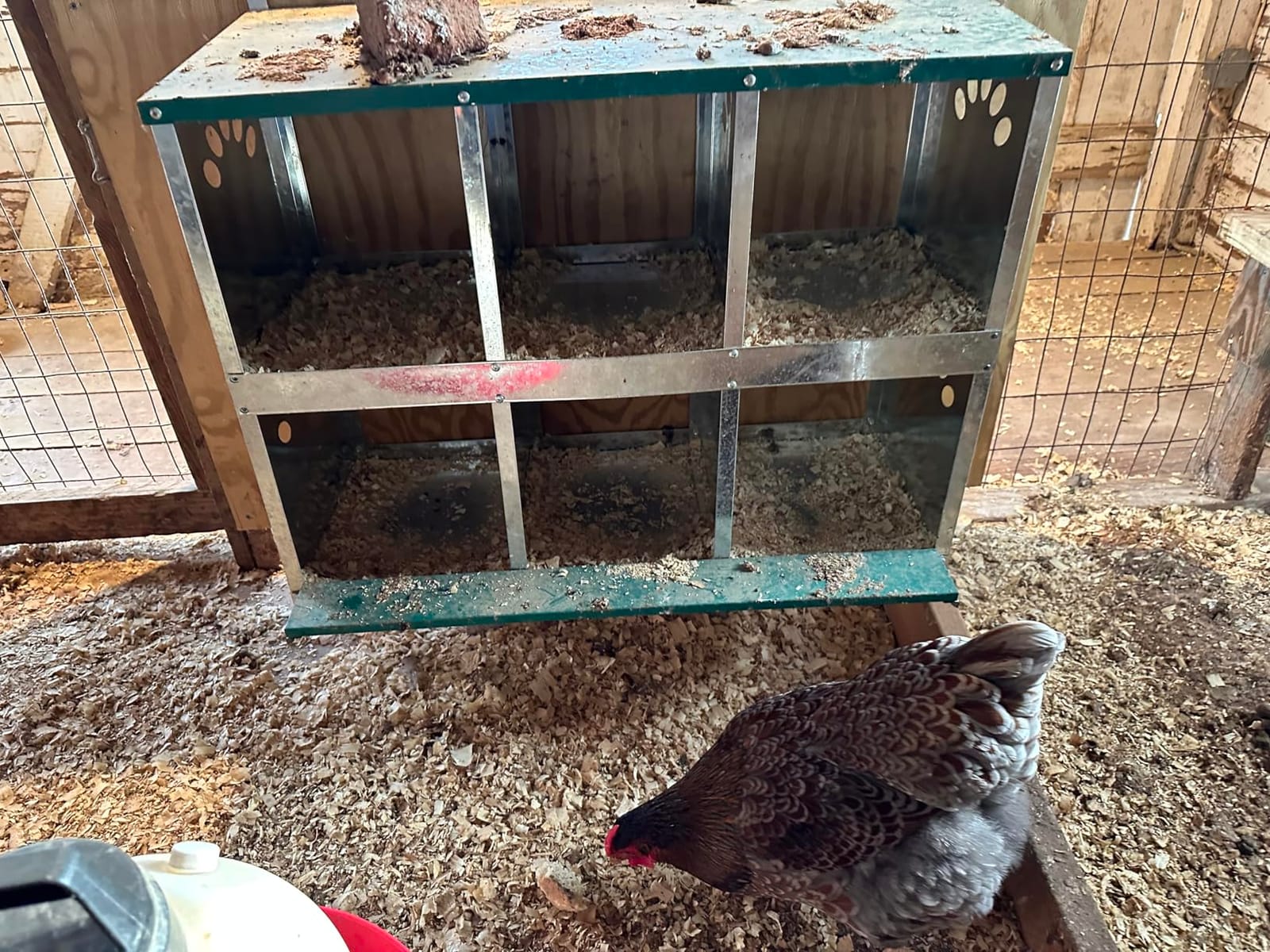 Chicken Nesting Box, 6 Compartment Metal Nesting Box customer photo 1