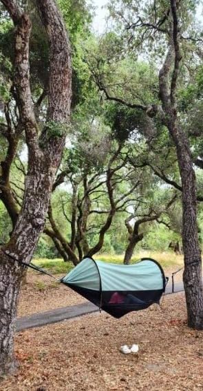 Camping Hammock with Mosquito Net, 3-in-1 Tent with Sunshade, 2 Person | Lightweight 70D Nylon, 440 lb Weight Capacity, Includes Tree Straps and Aluminum Poles, Converts to Ground Tent customer photo 2