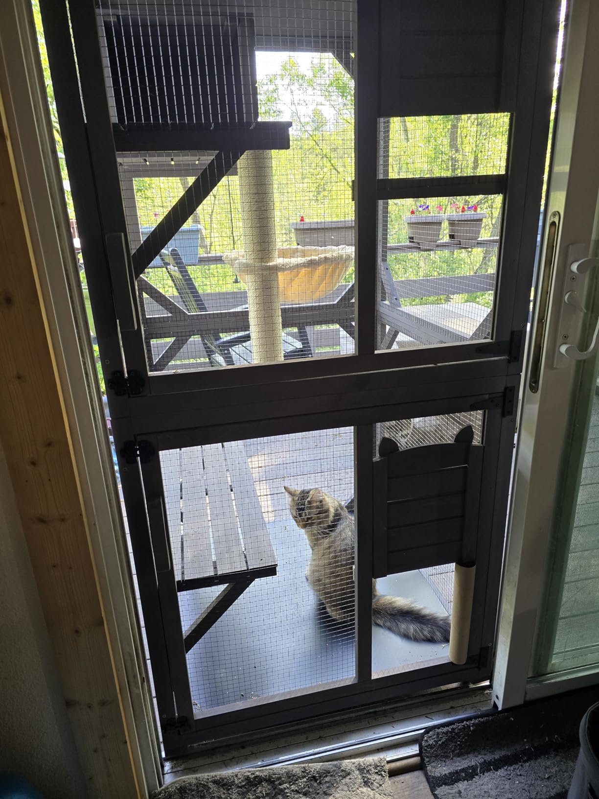 Aivituvin Catio Outdoor Cat Enclosure Large Cat Run with Bridges, Walks, Small Houses, Roof Cover 110