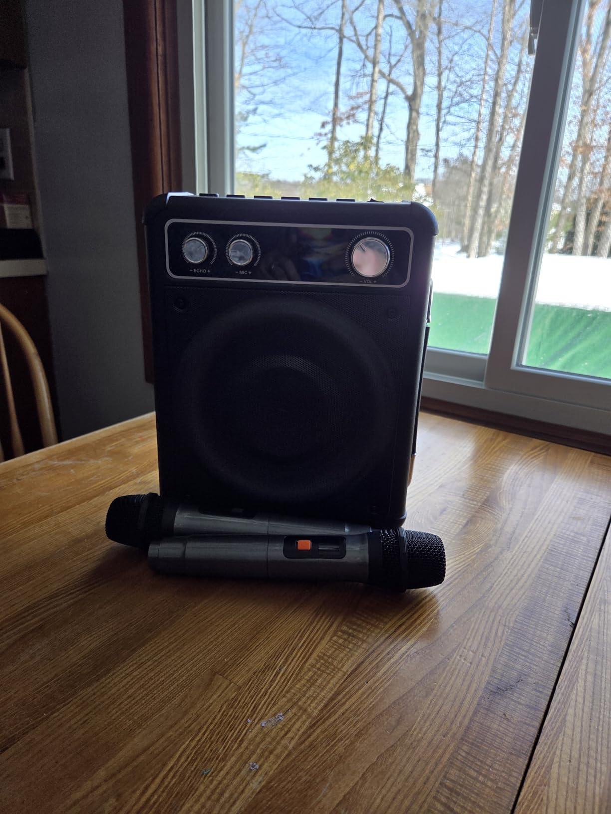 VOSOCO Karaoke Machine, Bluetooth Speaker with 2 Wireless Mics for Adults customer photo 1