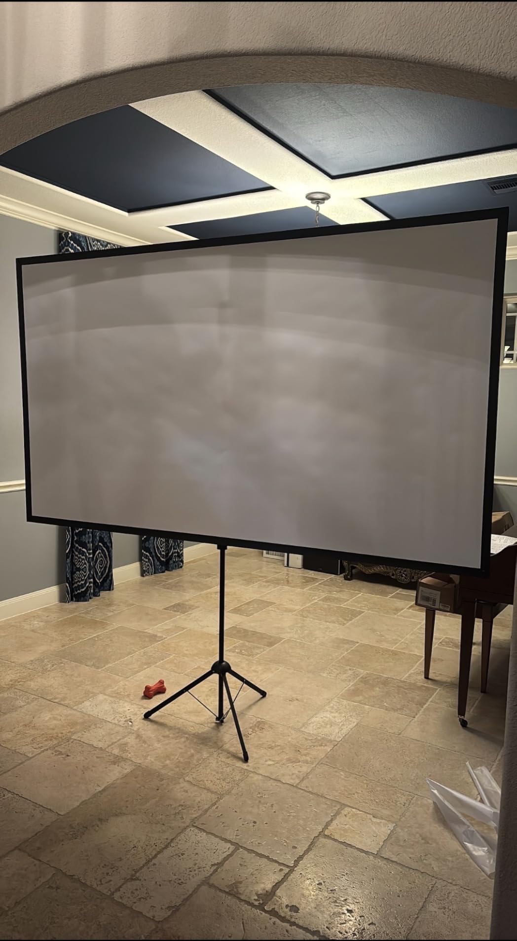 Projector Screen with Stand, Paris RHÔNE 100-inch Outdoor Indoor Projector Screen 16:9 4K HD PVC, 1.5 Gain Portable Wrinkle-Free Movie Screen for Home Backyard Theater with Carry Bag, Ground Nails customer photo 1