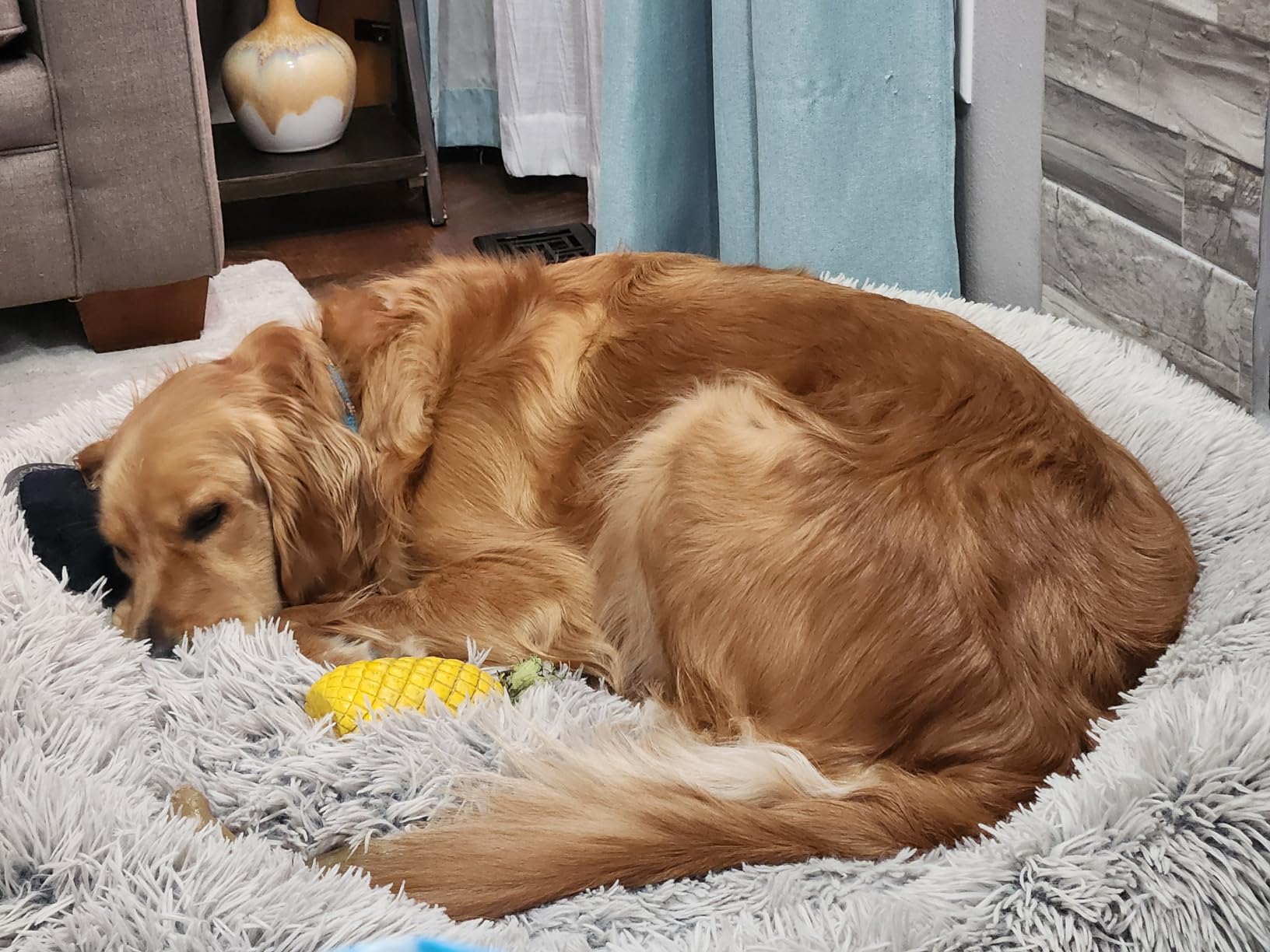 Uproot Clean Pet Grooming Vacuum for Dogs & Cats: 7-in-1, Quiet & Mess-Free customer photo 2