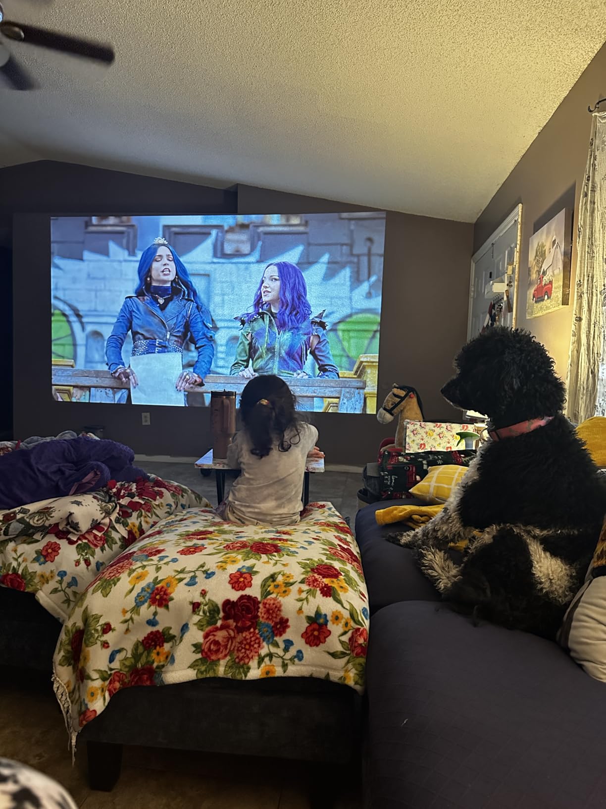 ViewSonic PA503HD 4000 Lumens 1080p Full HD DLP Projector, High Brightness | HDMI, USB, Optical Zoom, Auto Keystone, 120Hz, Ceiling Mount, Classroom, Business, Presentation, Large Screens, Smooth Action customer photo 1