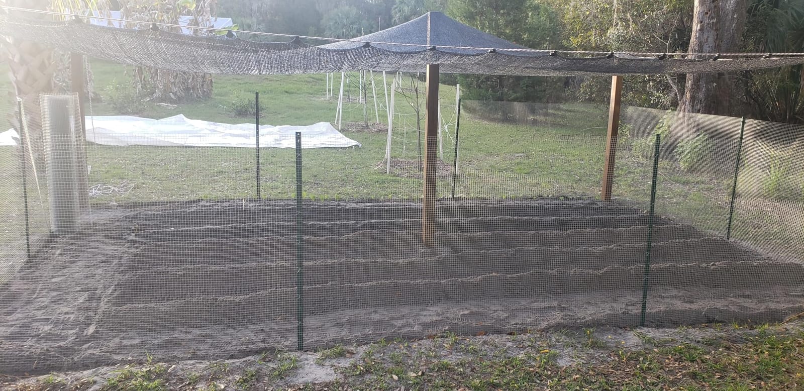 SANZEUS Hardware Cloth, 48in x 100ft 1/2in Mesh, 19GA Chicken Wire Fencing customer photo 2
