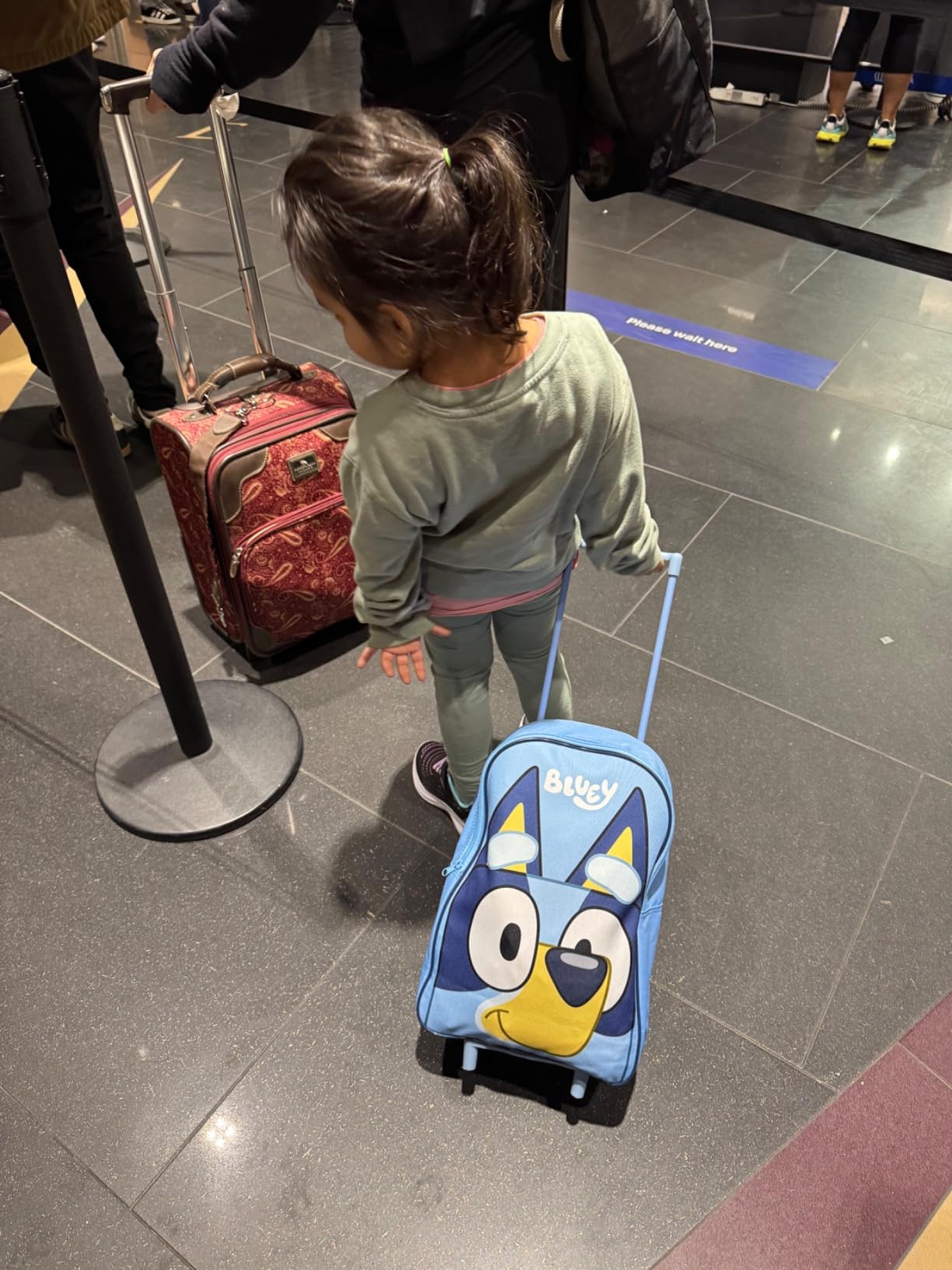 Bluey Kids Rolling Suitcase, 16 x 13 x 4 inches, Luggage for Girls and Boys, Travel Bag with Extendable Handle and Wheels, Gifts for Kids customer photo 2