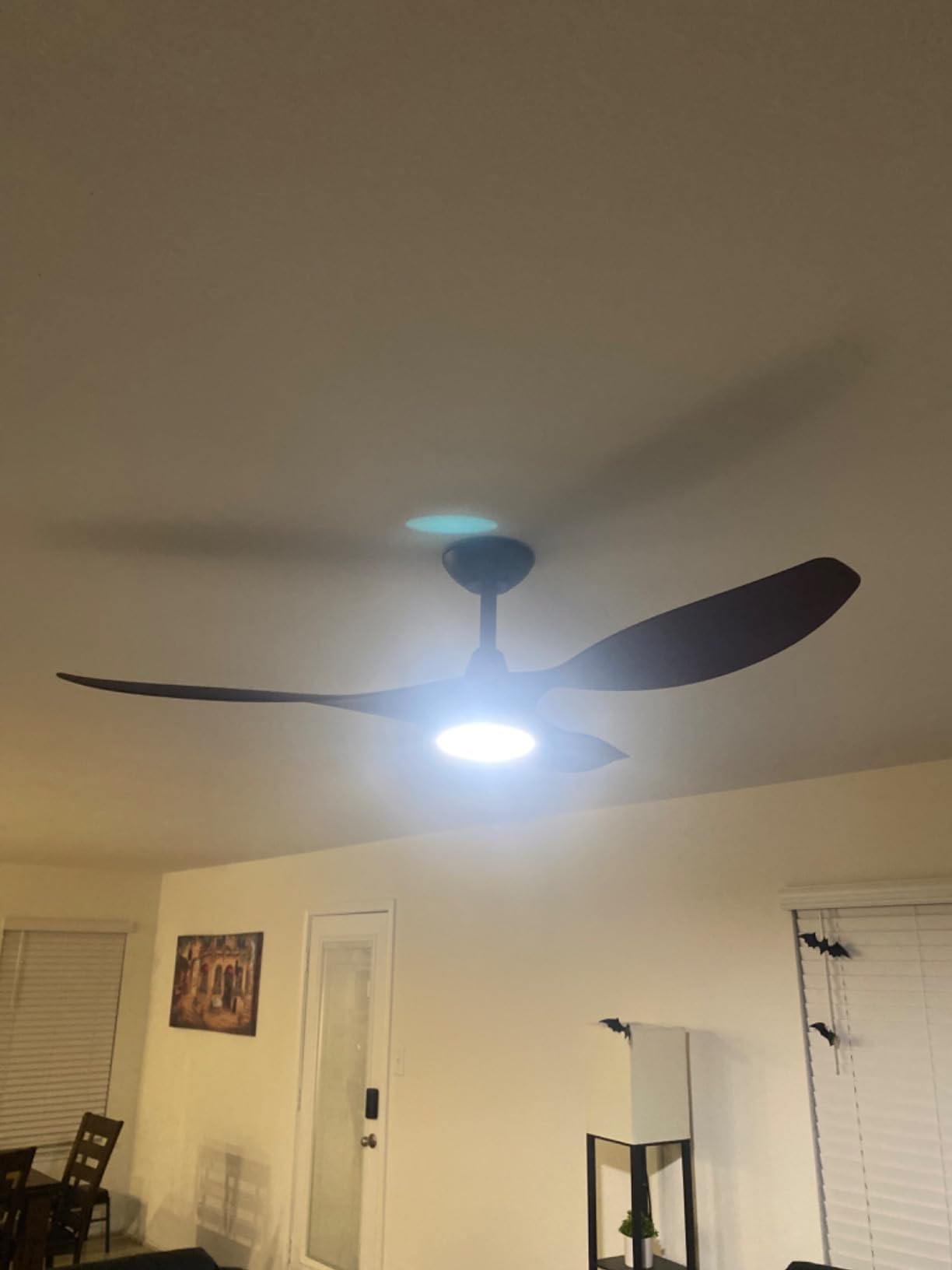 Roomratv 52 Inch Modern Ceiling Fan with Light, Dimmable, Remote Control | Customizable Color and Brightness,Quiet Reversible DC, Memory,Easy Install,Timer,Bedroom, Covered Outdoor Areas customer photo 2