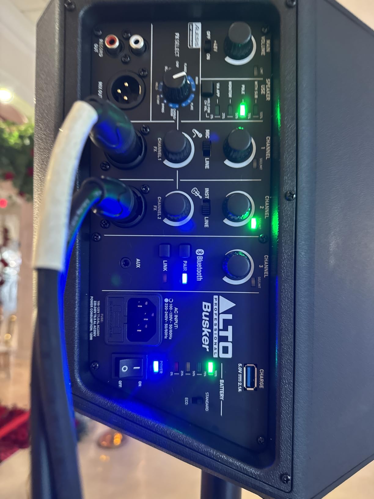 ALTO BUSKER 200W Portable PA Speaker System customer photo 1