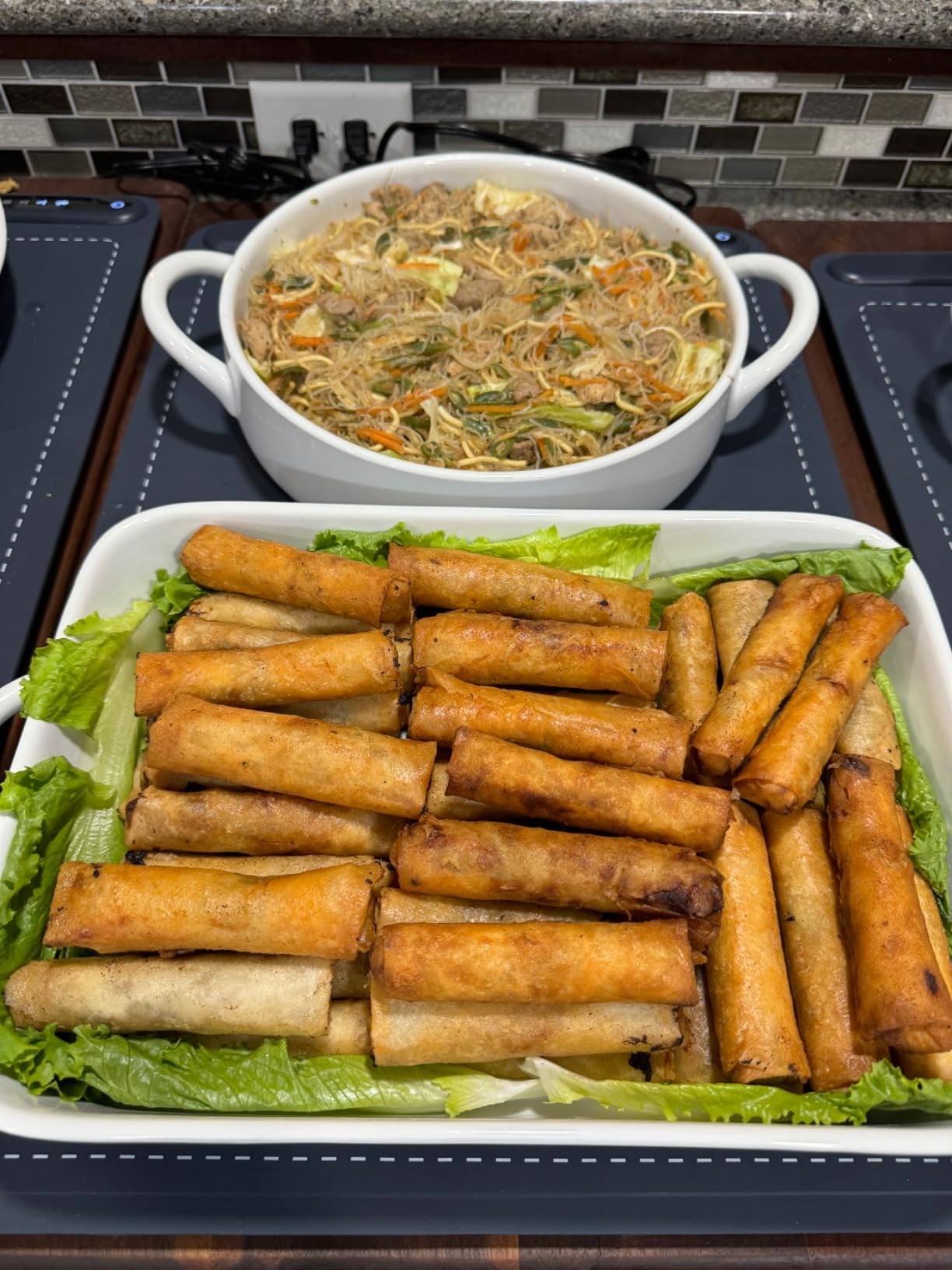 Warming Mat for Food (24