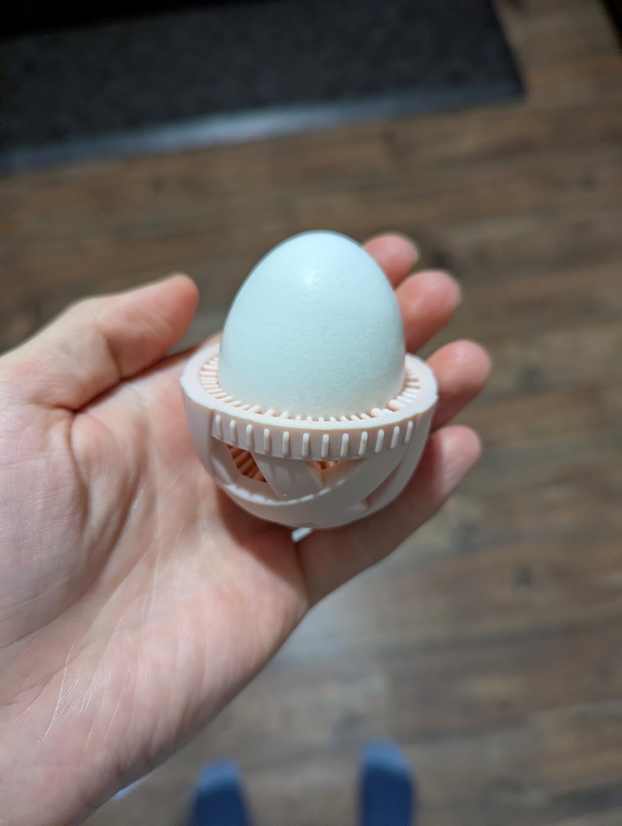 GoodEgg The Original Egg Brush, Silicone Egg Cleaning Brush for Farm Fresh Eggs, Chicken Coop Cleaning Tools, Egg Washer, Chicken Coop Accessories, Large to XL Sized Eggs, Green, As Seen On Shark Tank customer photo 1