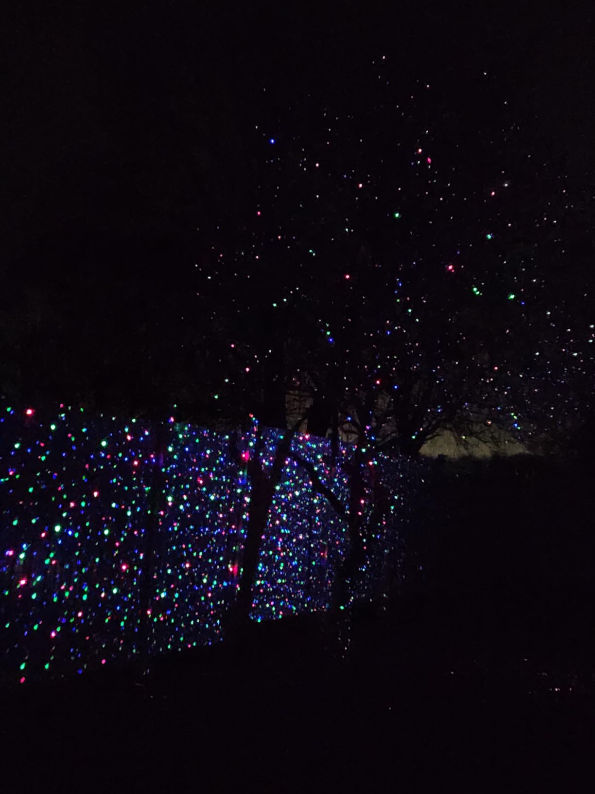 Outdoor RGB Laser Projector Lights 3 Color Starry Sky Firefly Effect customer photo 1