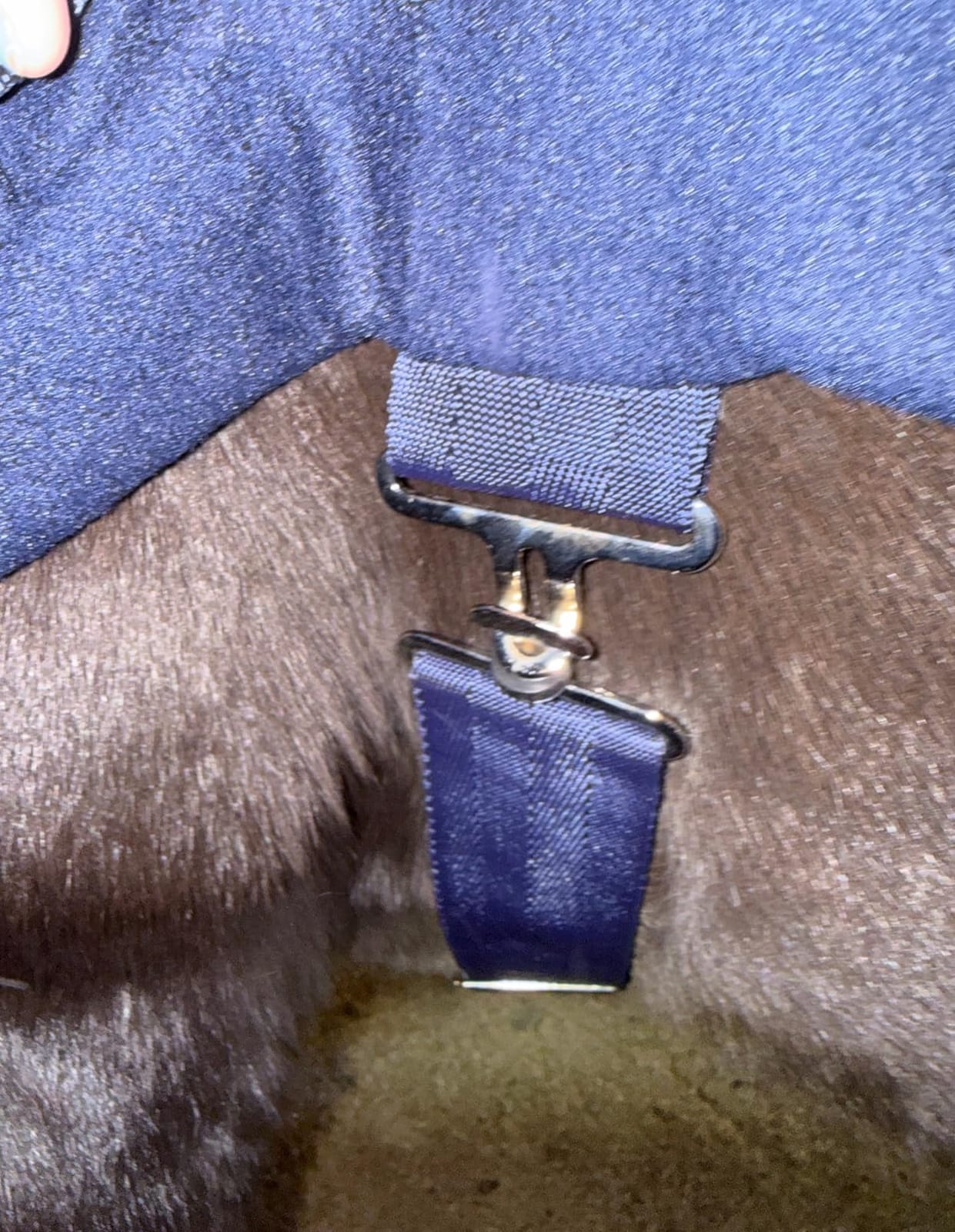 Jeffers Elite Fleece Cooler Blanket for Horses, 78