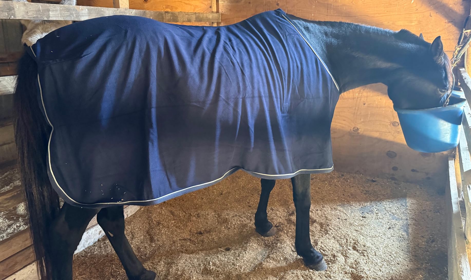Jeffers Elite Fleece Cooler Blanket for Horses, 78