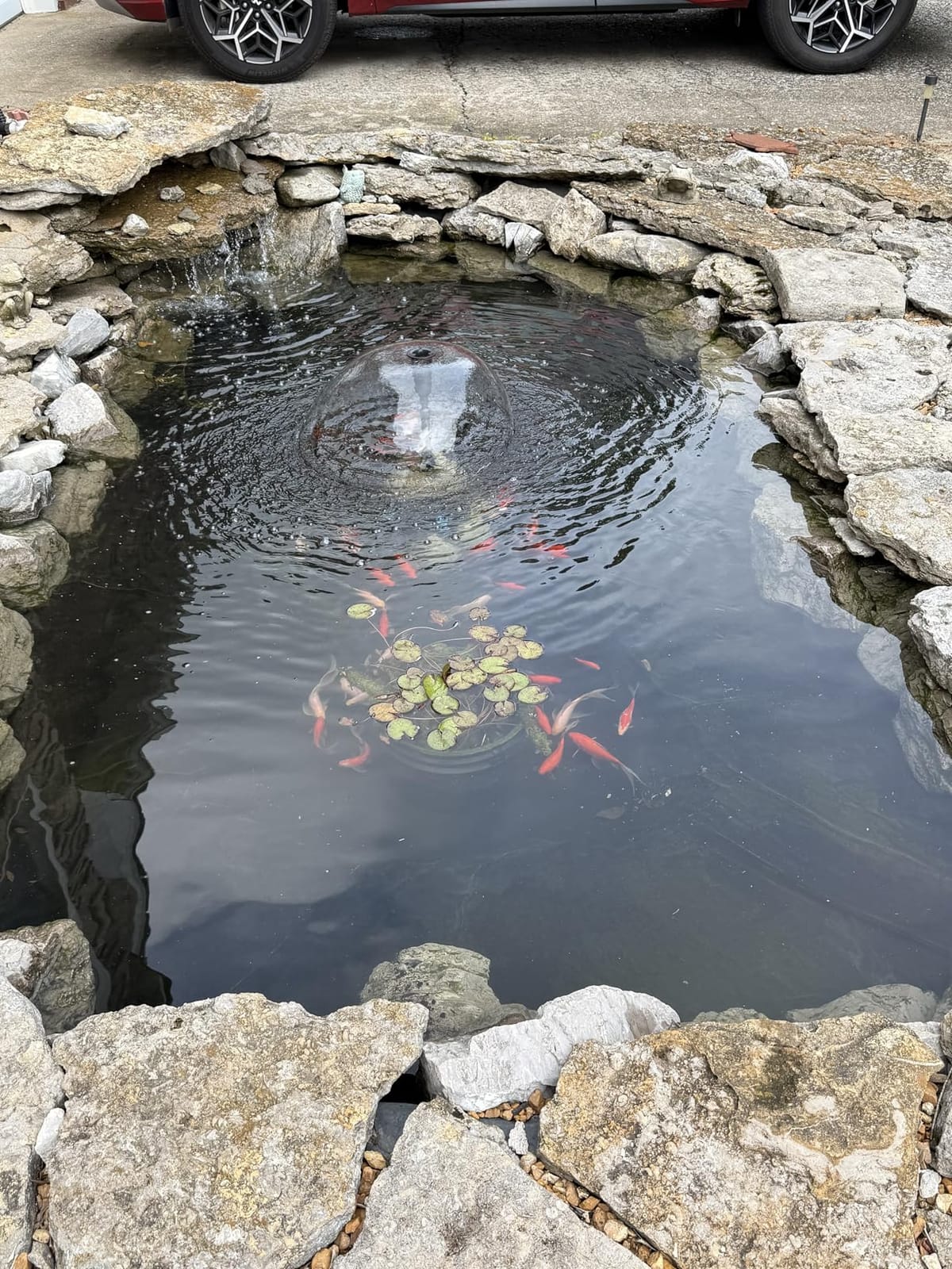 POPOSOAP Pond Filter with Pump Fountain Kits, 660GPH Pond Filter with 40W Pond Pump & Fountain Kit, Koi Pond Filters for Outdoor Ponds Clean, Clear, and Add Water Features(Corded Electric) customer photo 1
